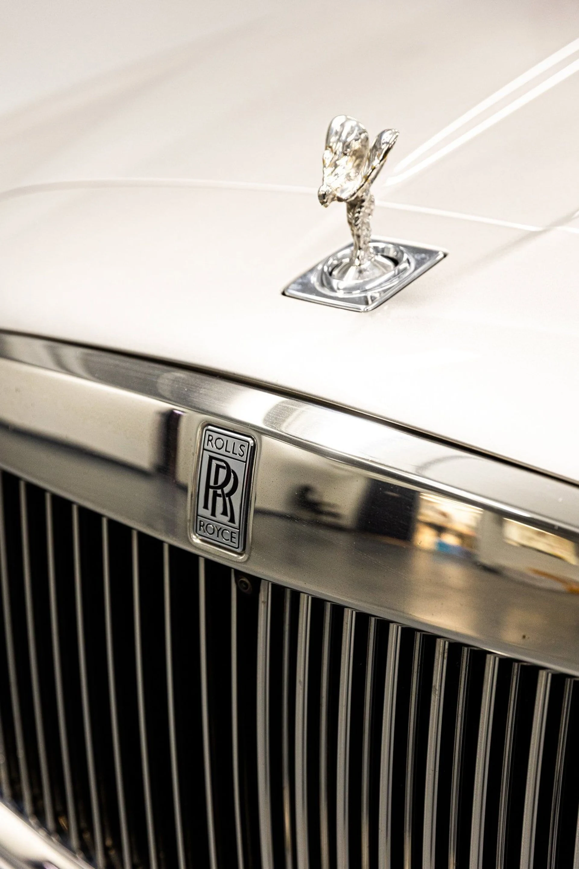 mph008_3356241075_7f039f203958174b33ef9cbe1dd39433x_5f20952798