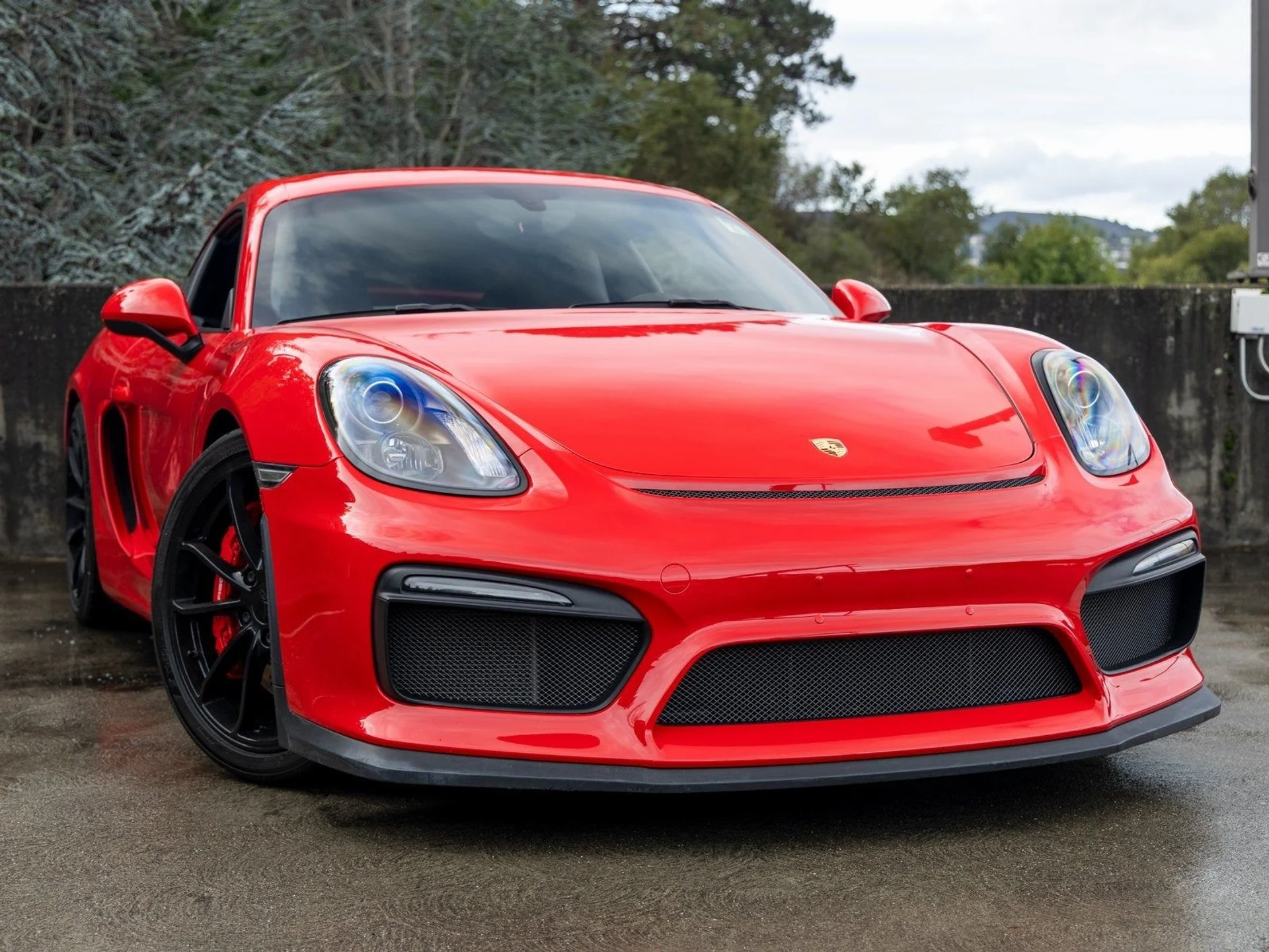 mph008_3371566941_9_35af3f35f5