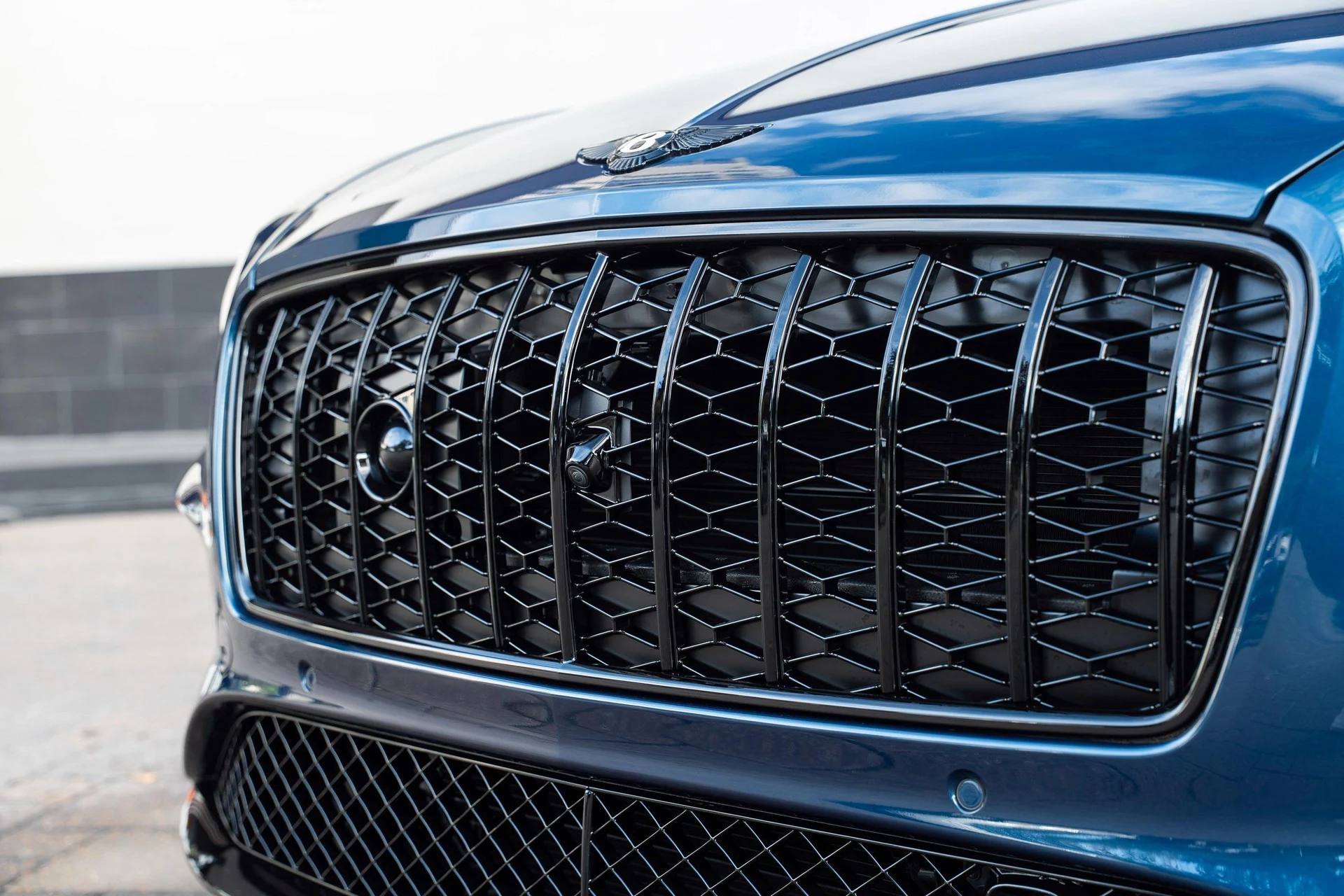 mph008_3386318341_462758414_69176162523de9a4650eb97e_819c90a983