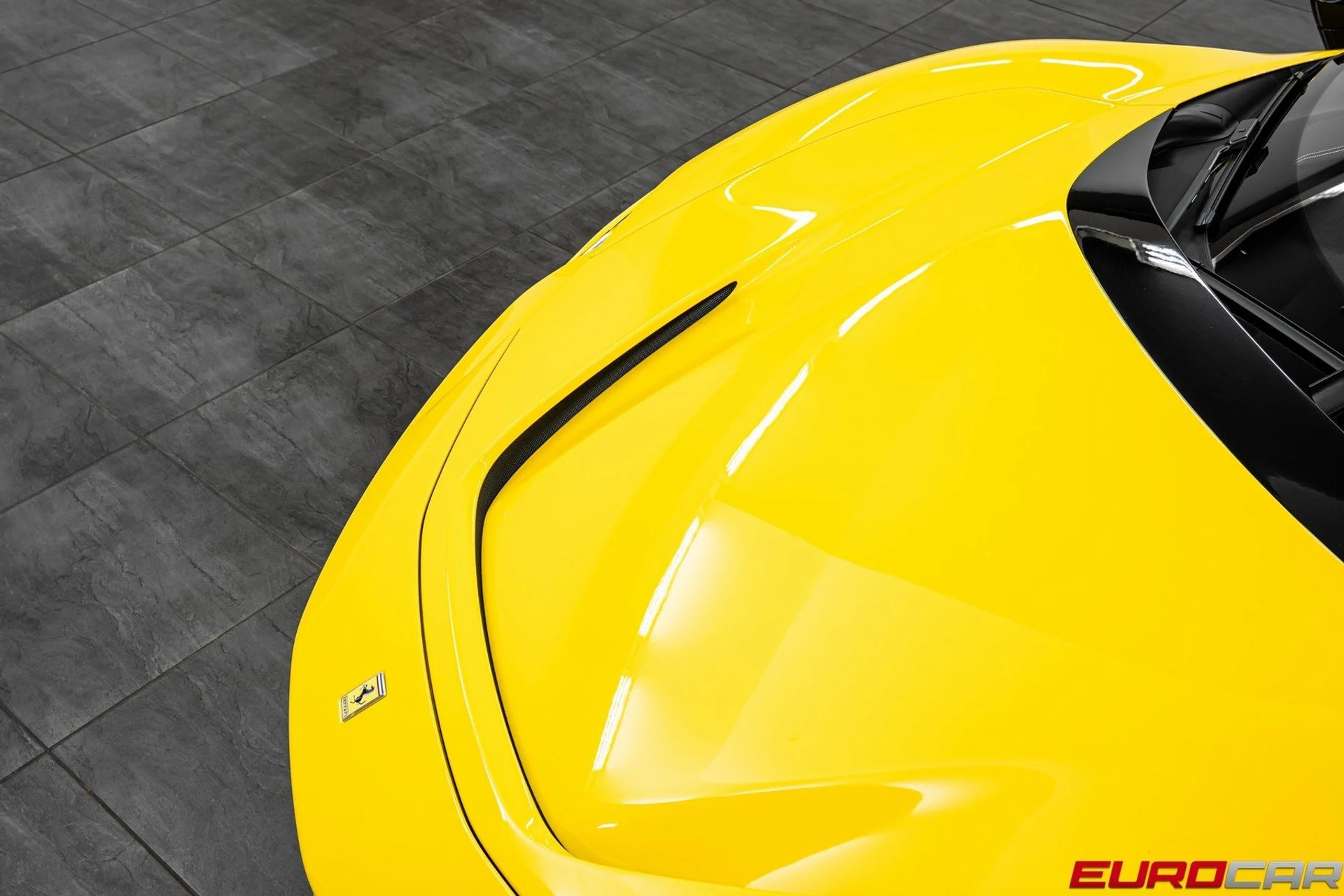 mph008_3390990198_image_9_2b5716fa51