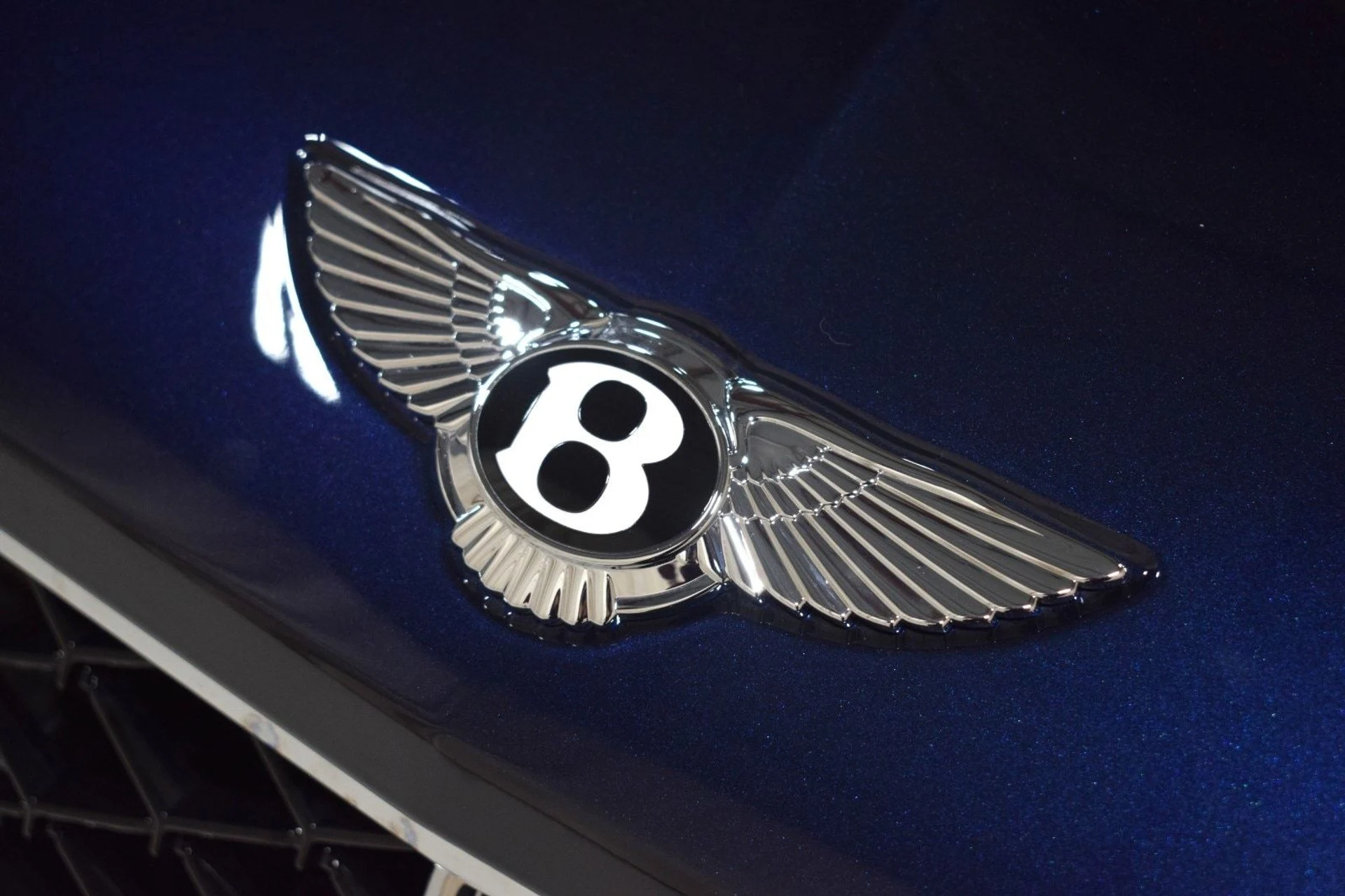 mph008_3397820623_dbf0a7537a17e8126ca6ee49ab367f32x_2f3b2aa404