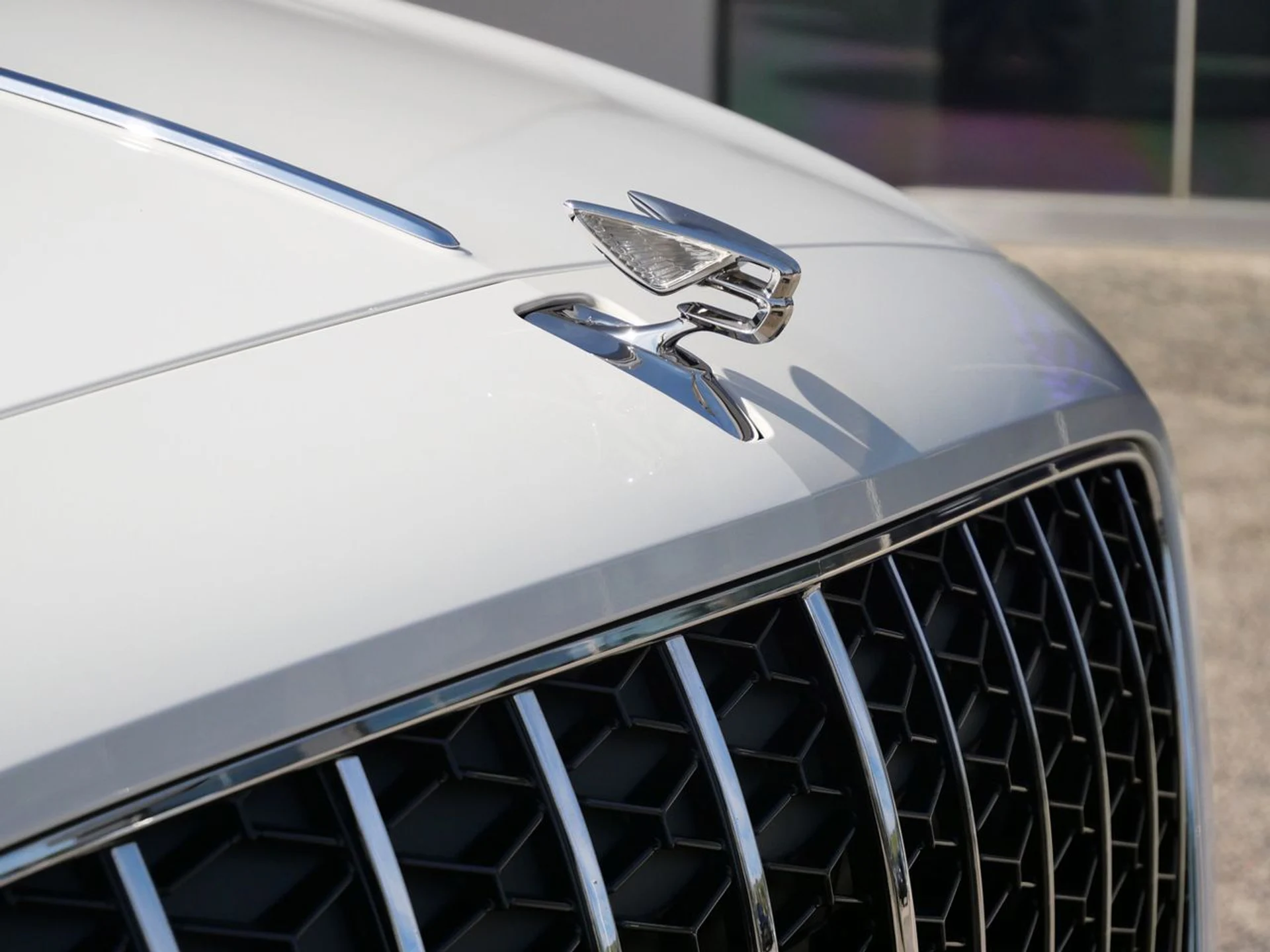 mph008_3404231782_9c84c717611acec2c5344e5029412443x_427d3a1559