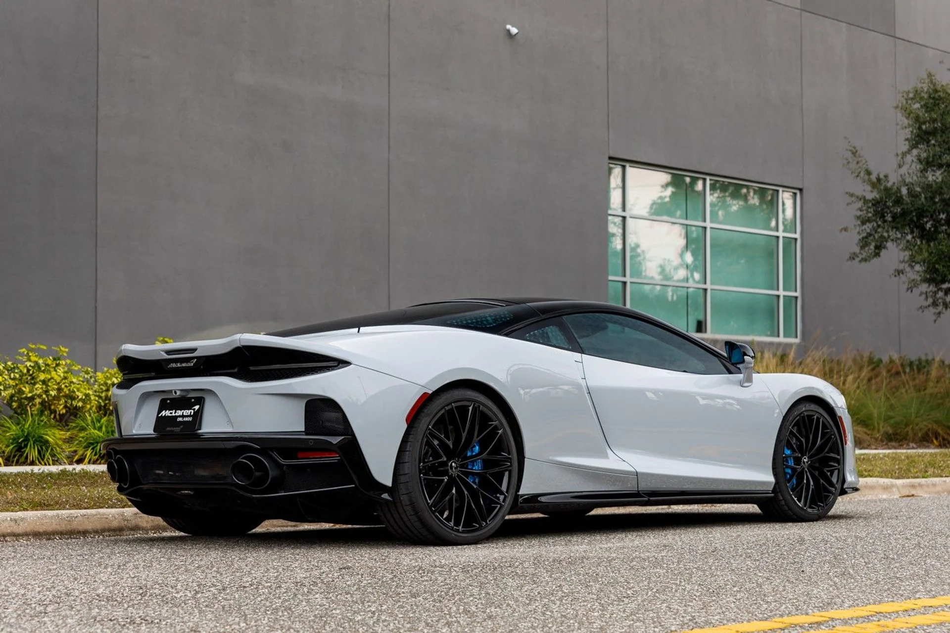 mph008_3421133162_642_p9_l_636b6ce591