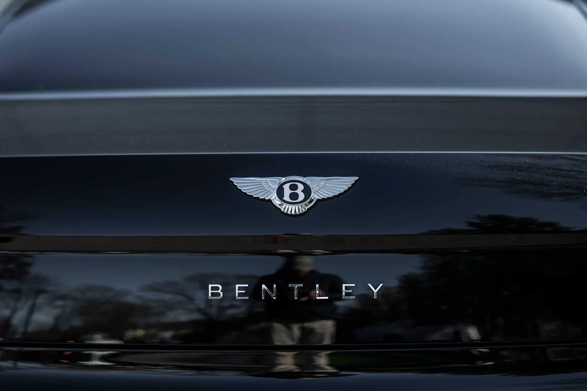 mph008_3425471807_da9f6c707b10cce4a7d894a412998e82x_4559021e7b