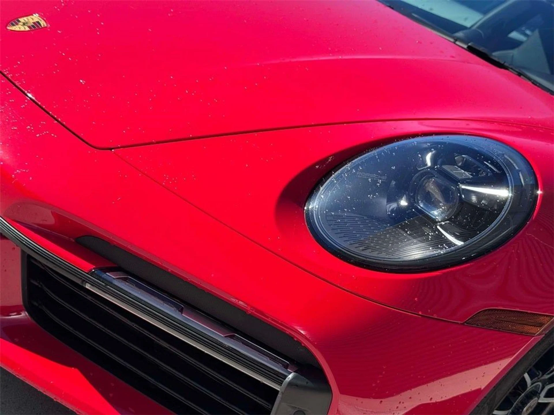 mph008_3441716685_9_1cf910a296