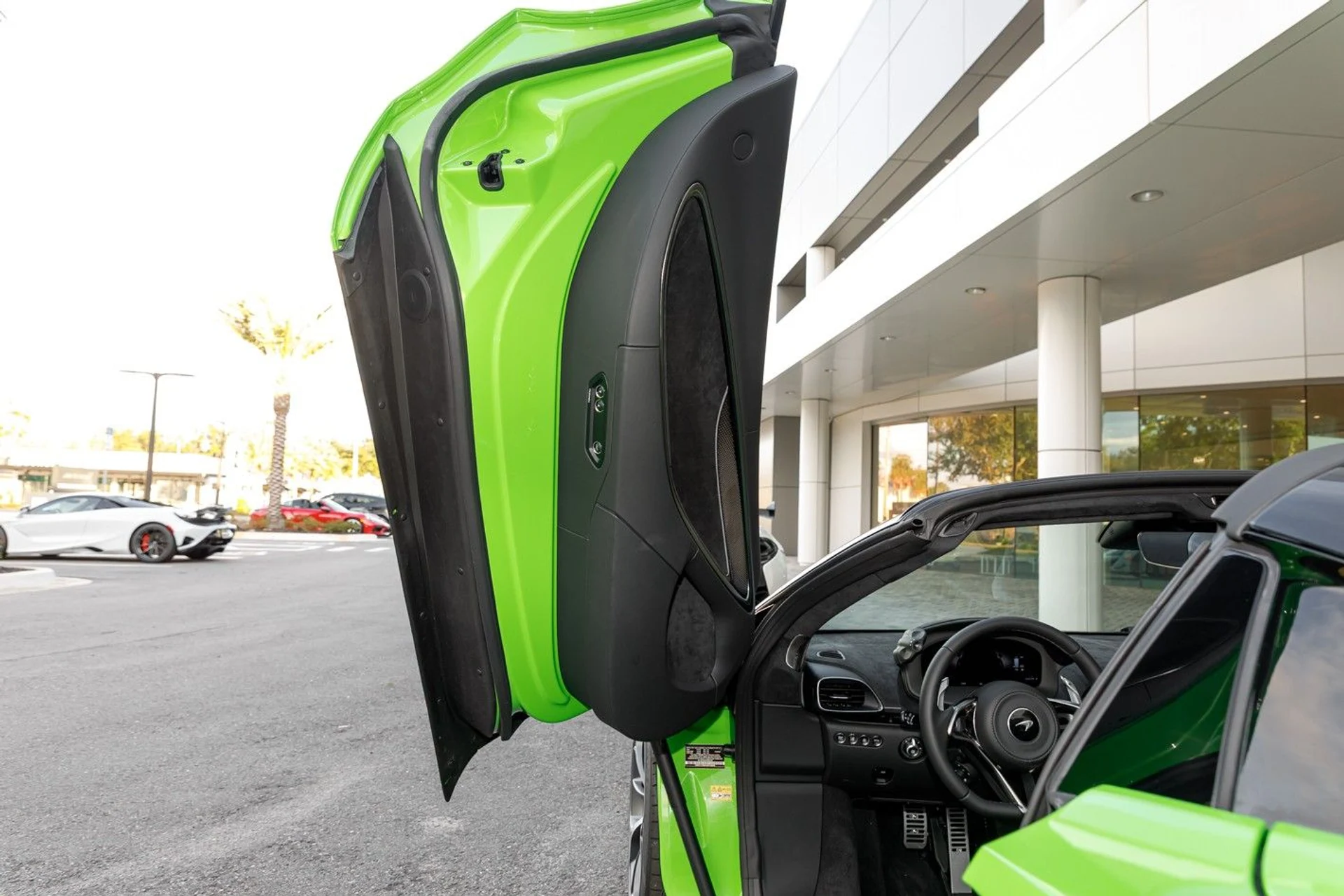 mph008_3445321141_647_p9_l_3d093a537d