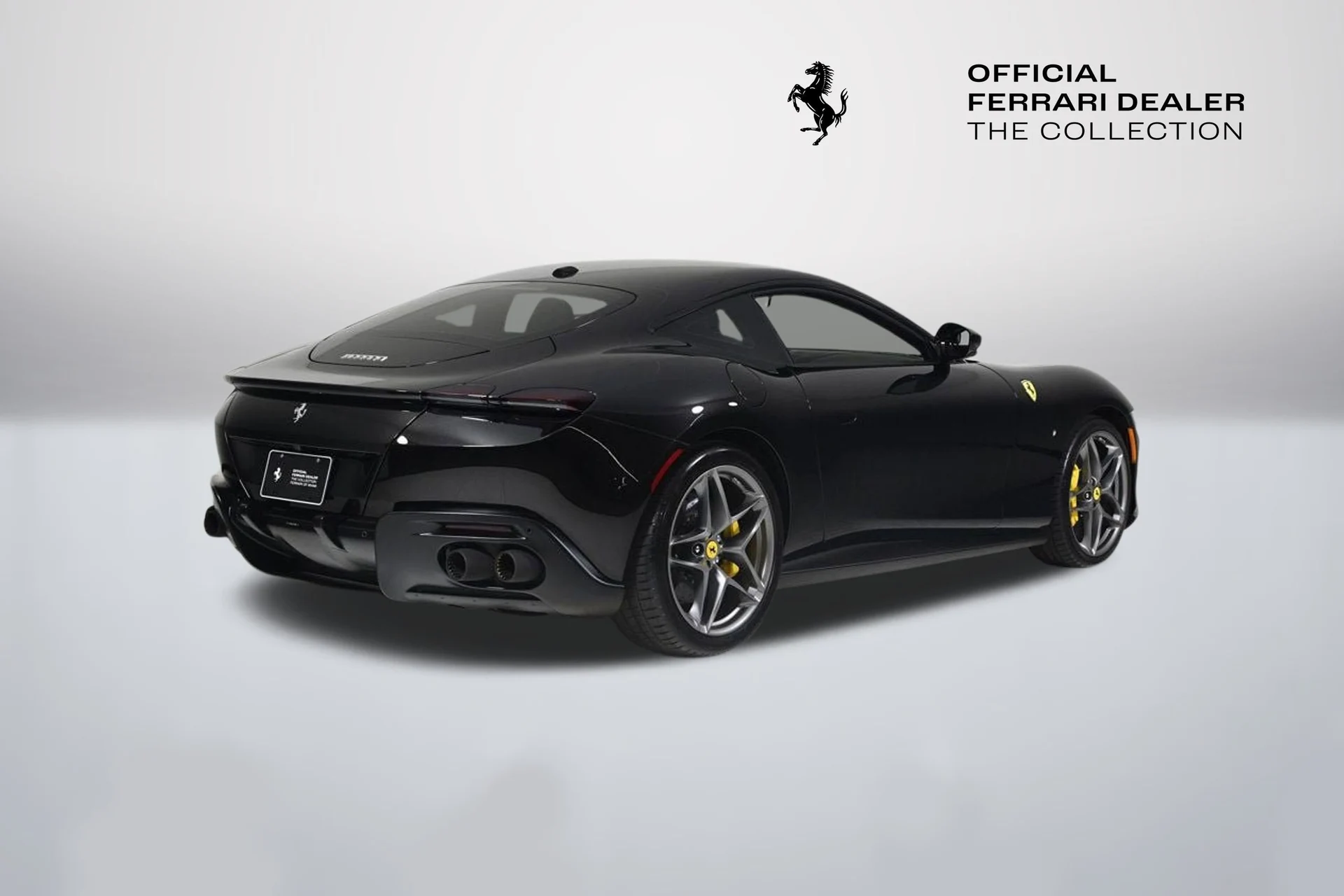 mph008_3456437242_ee63d6a7f91d4d39baca0037fa4c56ec_651c876340