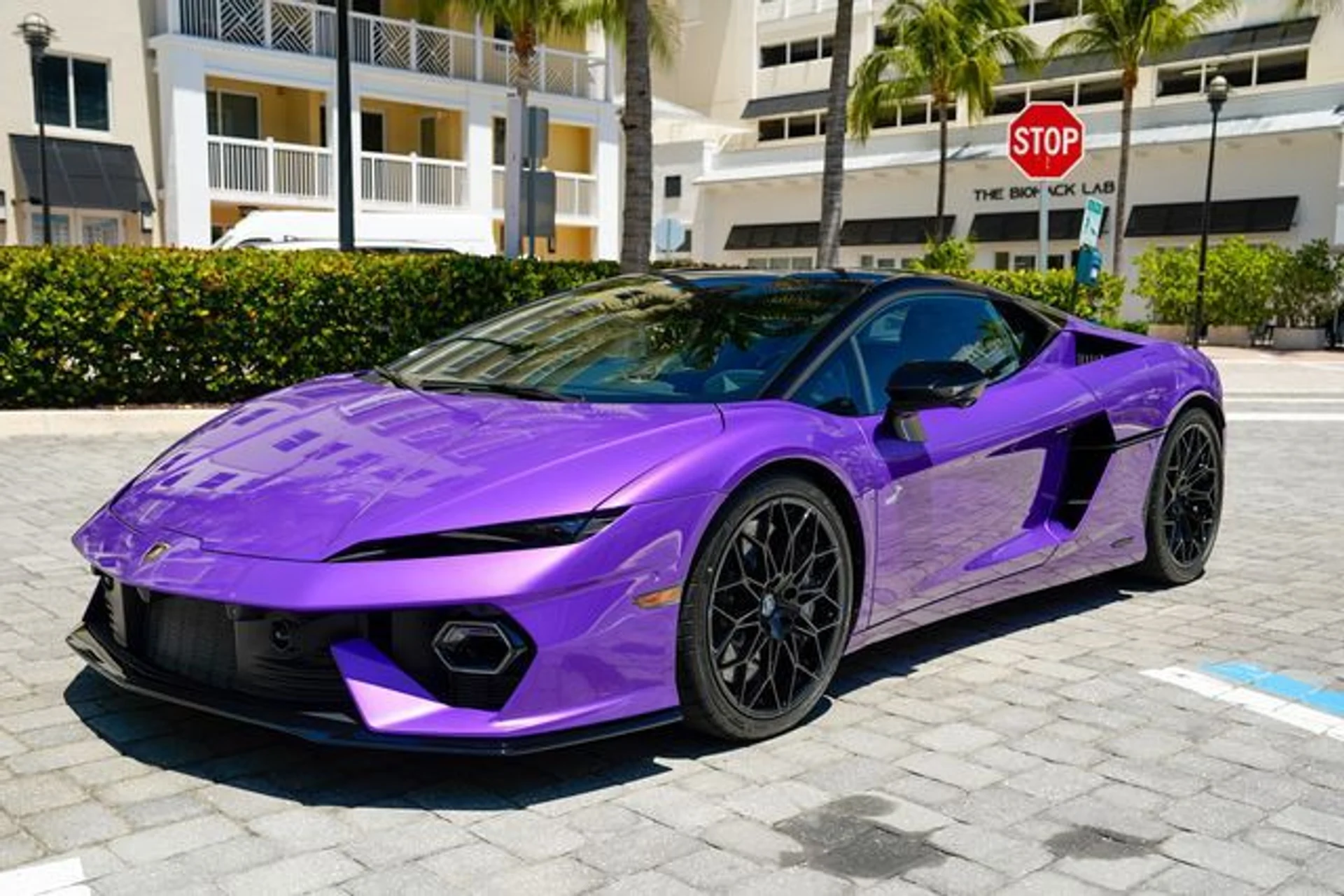 mph008_3470284865_23014494_9_72f0ea873a