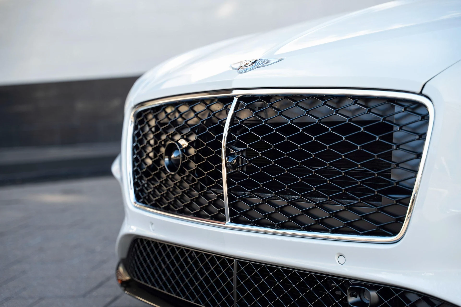 mph008_3522319653_481316811_69687ec0447c7a58e8acee3f_8651bbb78e