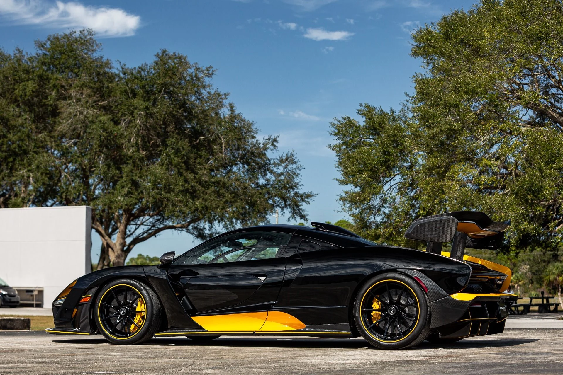 mph008_3533116968_131_p9_l_54ac58399f