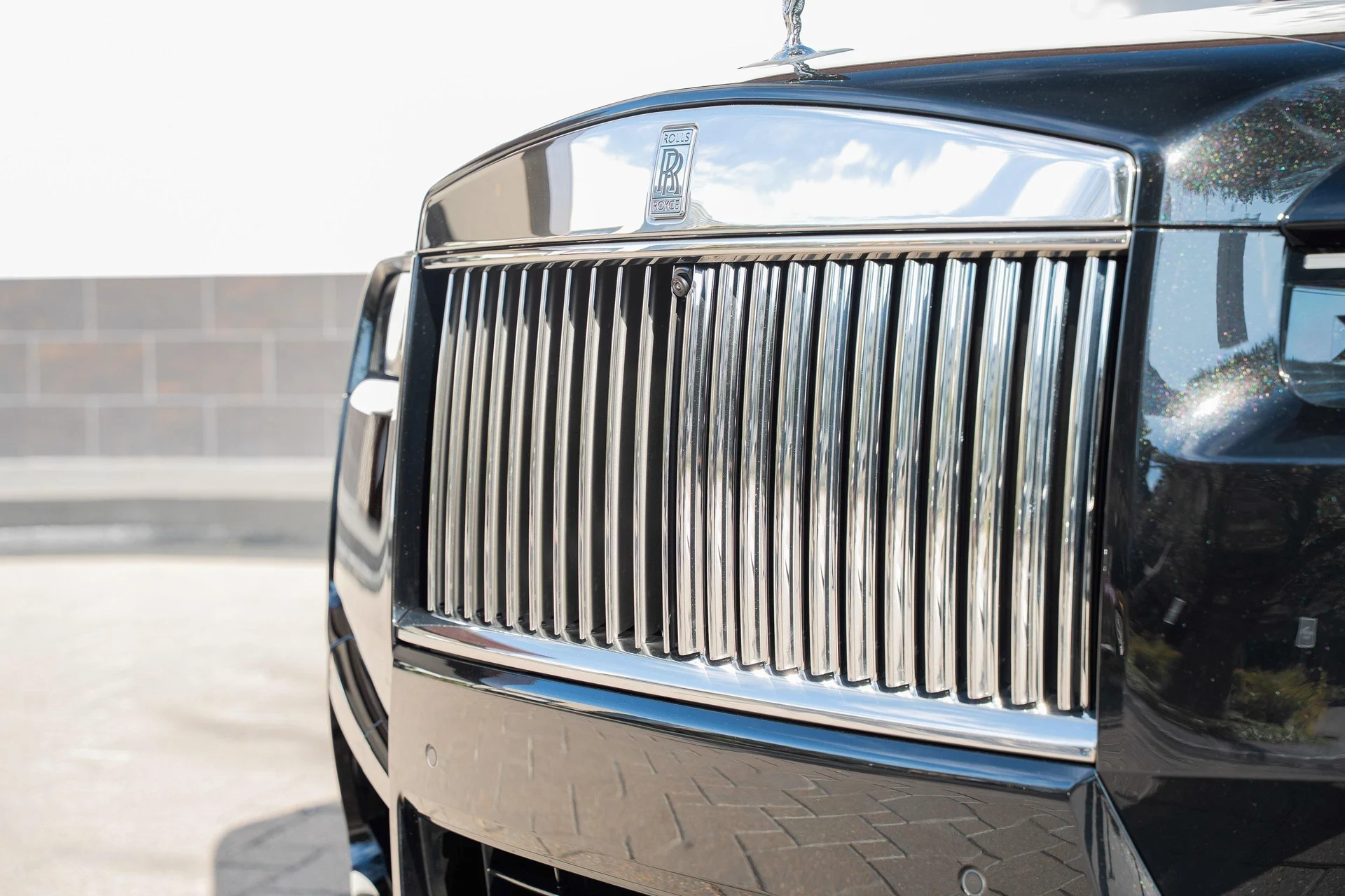 mph008_3569942984_476162067_695cc4668f3ee920bf518839_1a3de2cd93