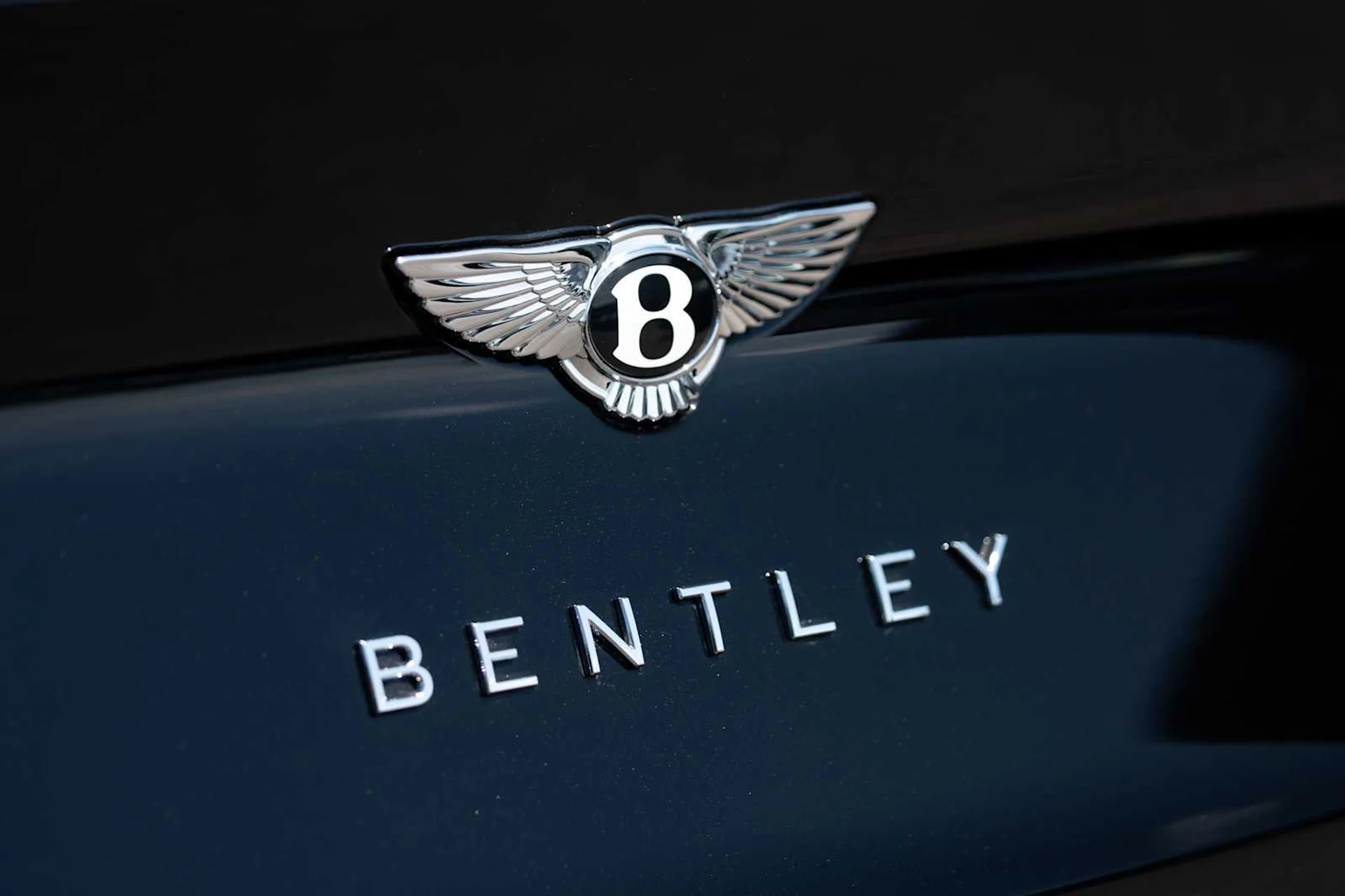 mph008_3620061513_1fbd0e9fb1c5e231818ea20b49f54476x_8834abda76