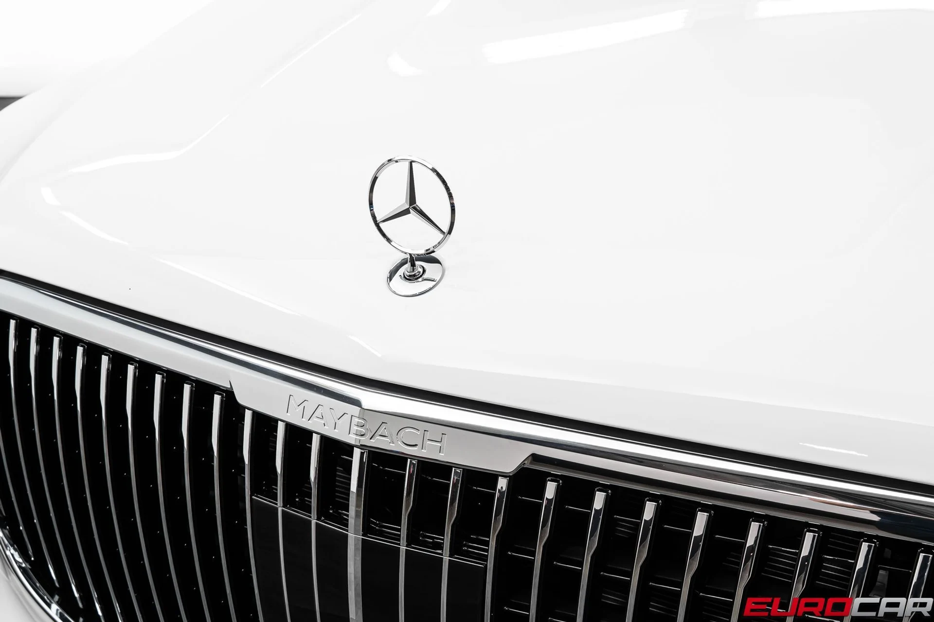 mph008_3644905011_ec9376c2_823b_404e_9b71_d62d203e450c_d90042e5d5