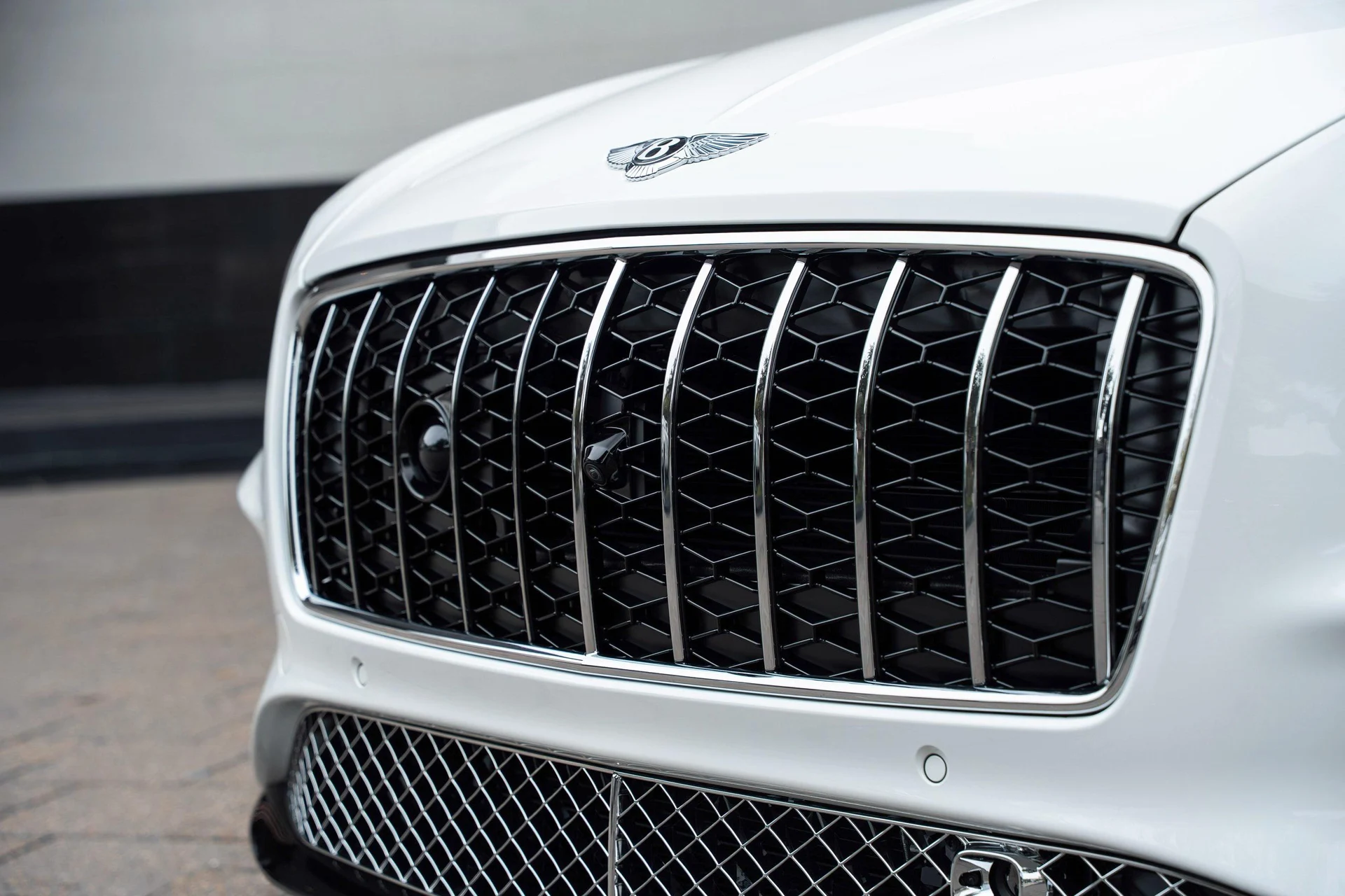 mph008_3646791654_470961996_69312a42437575d819837408_dd1dac6904