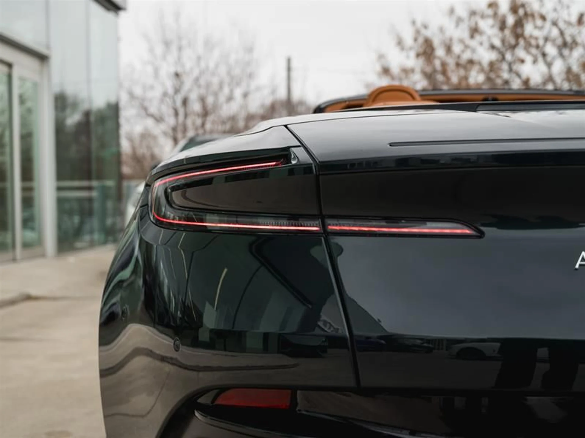 mph008_3652608974_3nz3qrvt_b19e752086