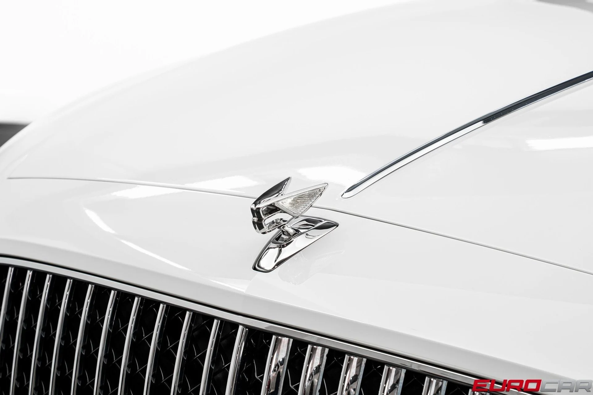 mph008_3681516404_image_9_9acc7a0562