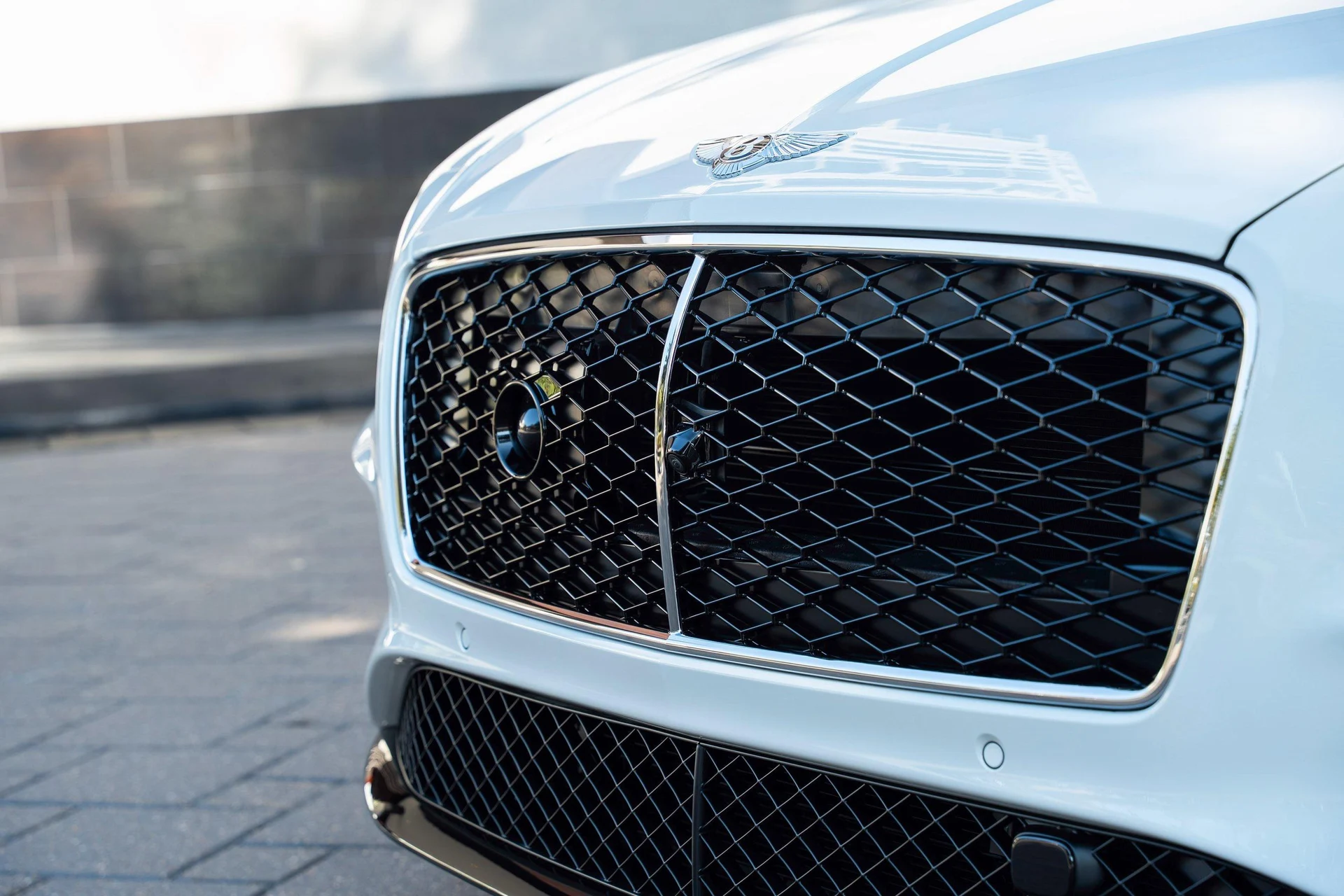 mph008_3727347101_458241673_68ef21bd026595e726699948_bbcef4b1e3