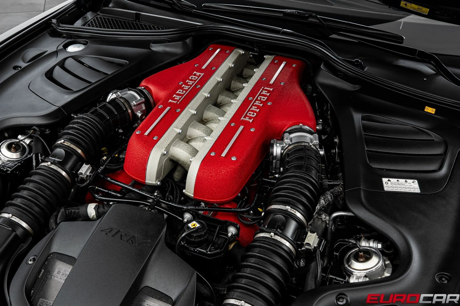 mph008_3731687613_image_9_b55b6ae6e8