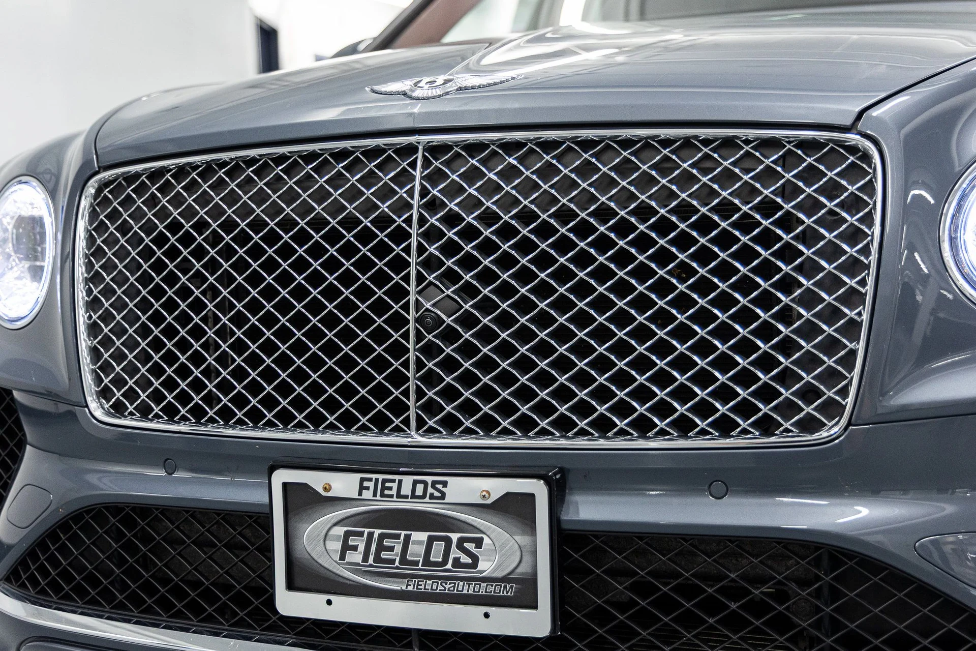 mph008_3736066255_c9797bf00923056faf37b09e138eef1ax_c55f1ab9d5