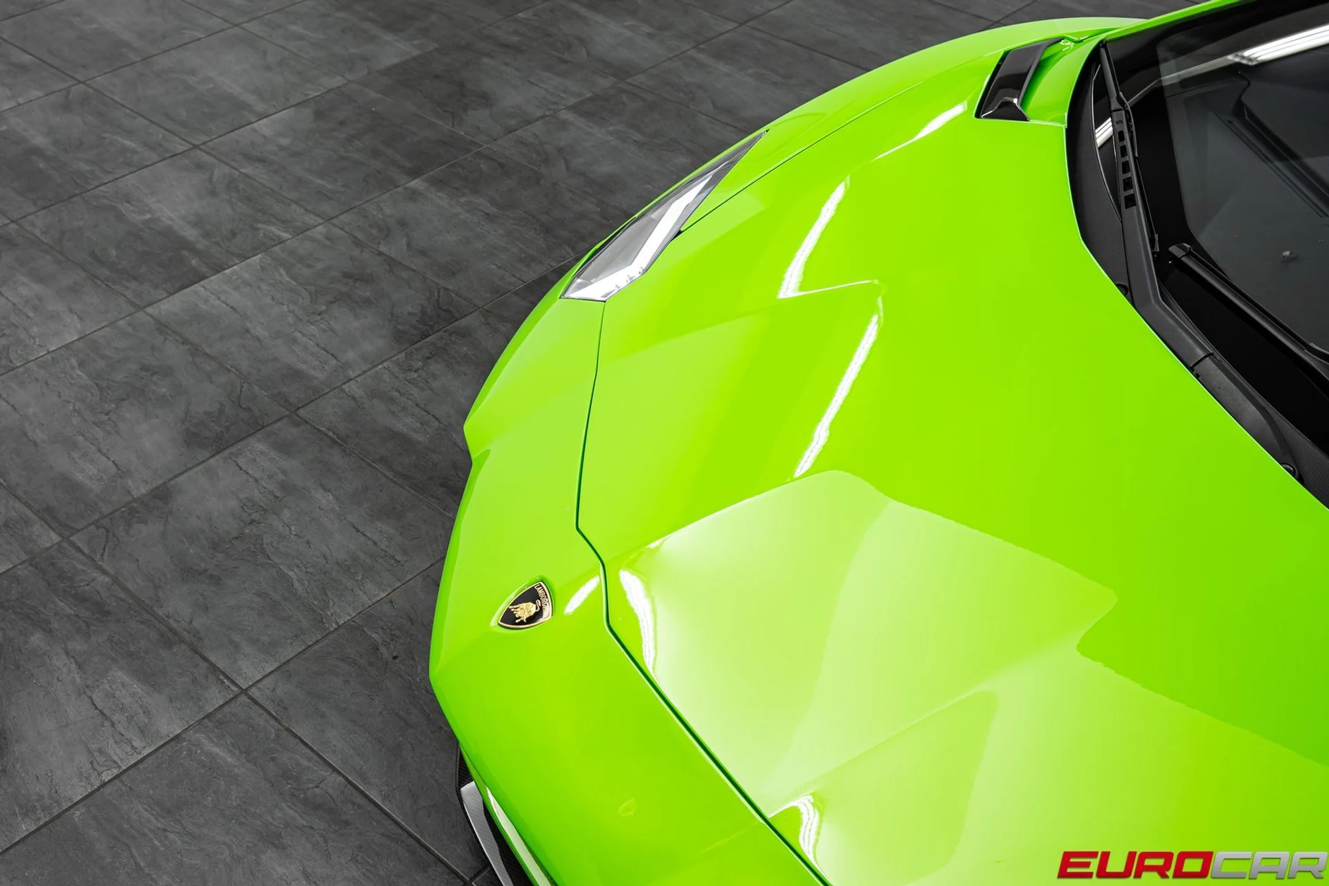 mph008_3745530196_cfcb7cb6_26ab_4d38_b527_6c9b8d41e840_d6eb19e9bd