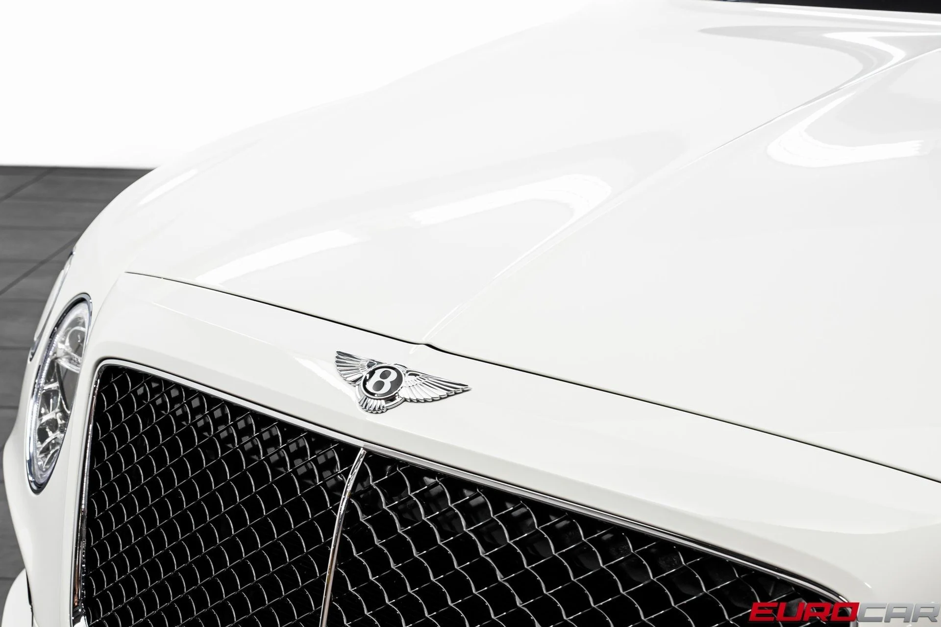 mph008_3753627751_image_9_1a18459785