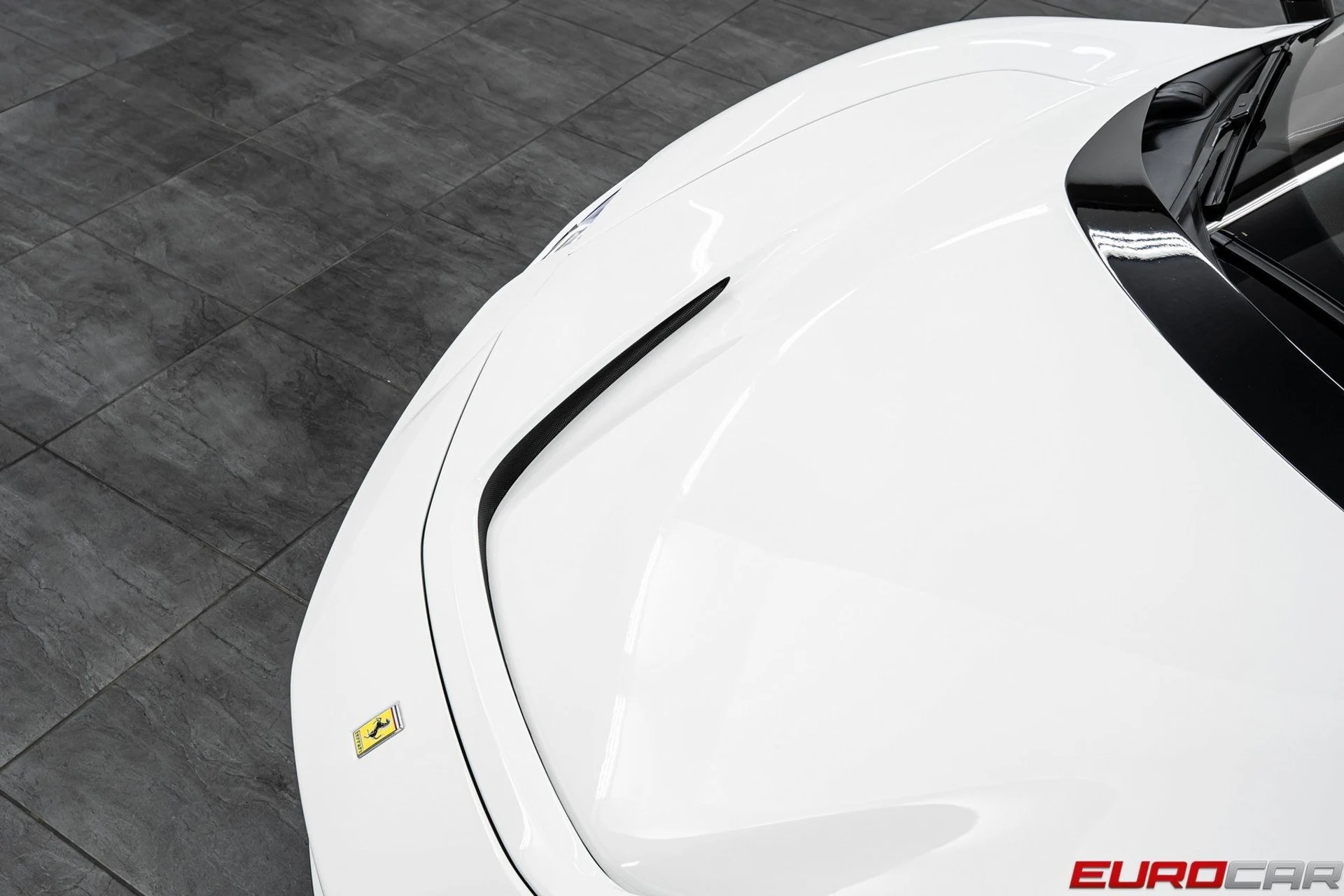 mph008_3781101139_image_9_05e4d84db7