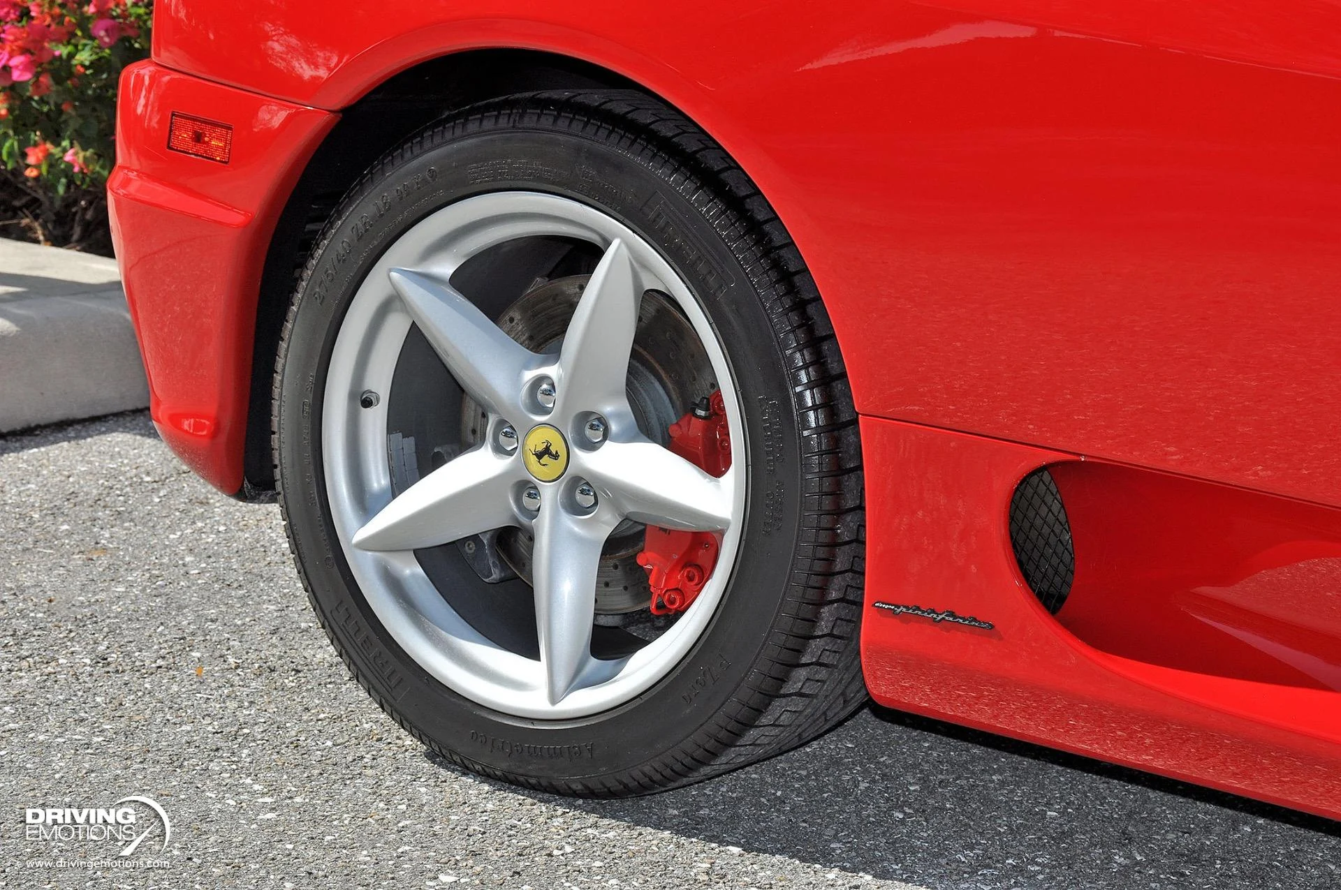 mph008_3782260750_824_p9_l_06d9668851