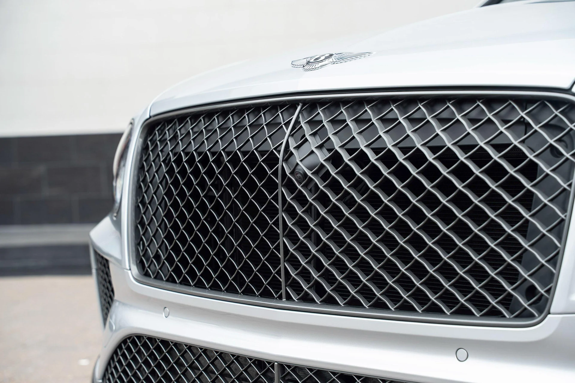 mph008_3835263855_477619924_6954c0044e73cd9f103f4fc9_9b98e89a7b