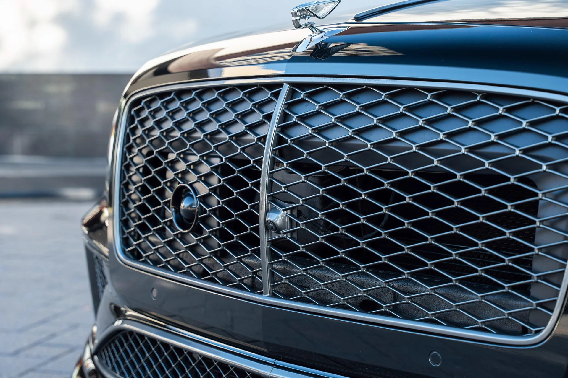 mph008_3868229593_489302490_6984353c6d31c9793f9d07a3_545e14eeb5