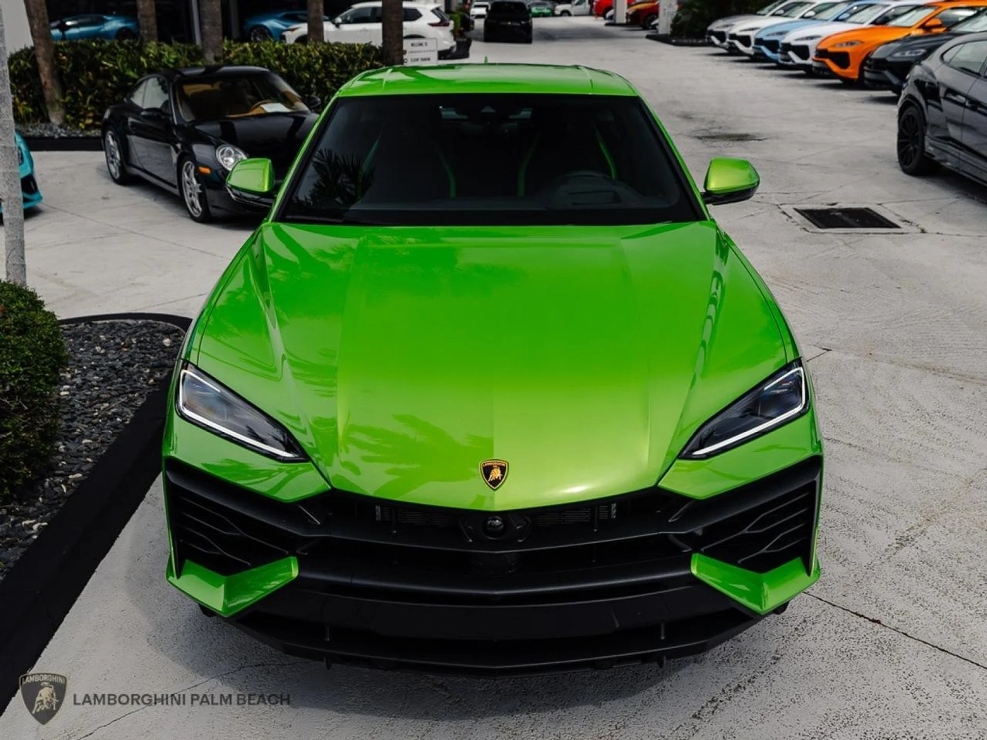 mph008_3886279446_1eac799c02881b2bad50545379d4fef5_46cf17737a