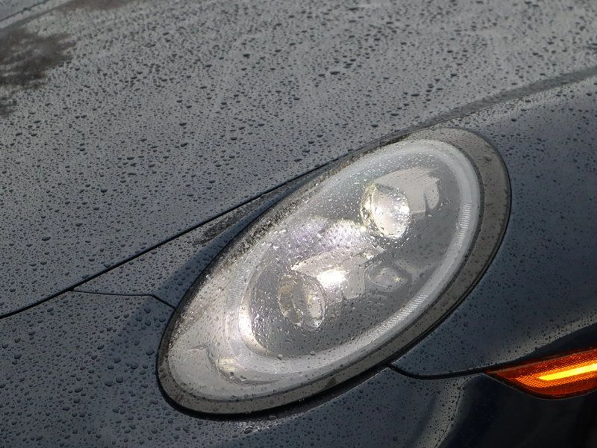 mph008_3922535663_37129809_03416_85f892eae2fb97c7ad4f7946ed5123c8_9aaf02f120