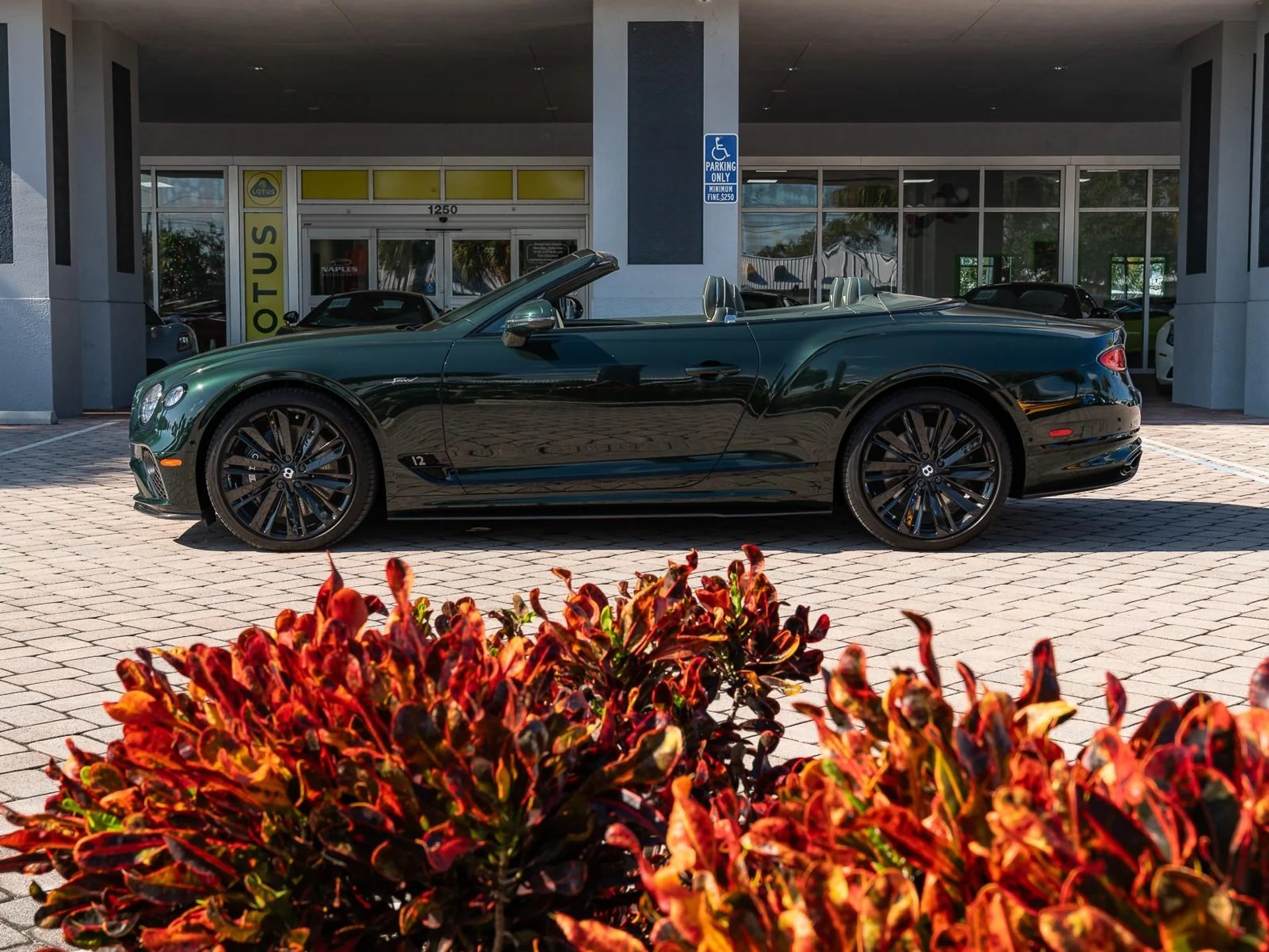 mph008_3932925669_Used_2022_Bentley_Continental_GT_Speed_1766181994_bd47fca0fa