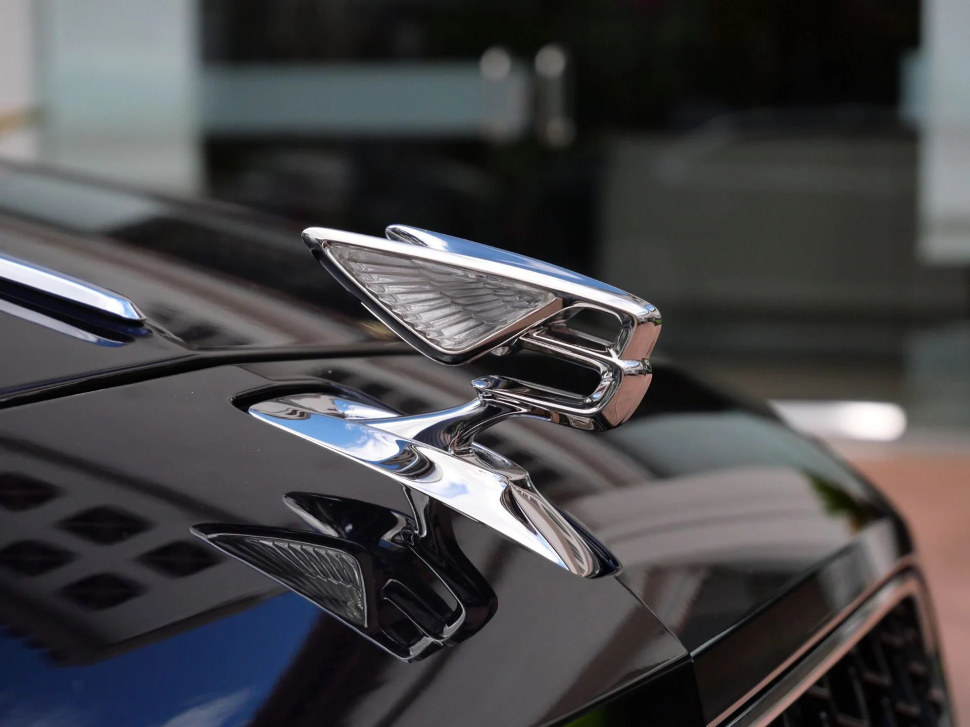 mph008_3941814449_909030e506a02480ae0fd1c1f6ddb061x_9690ca21a2