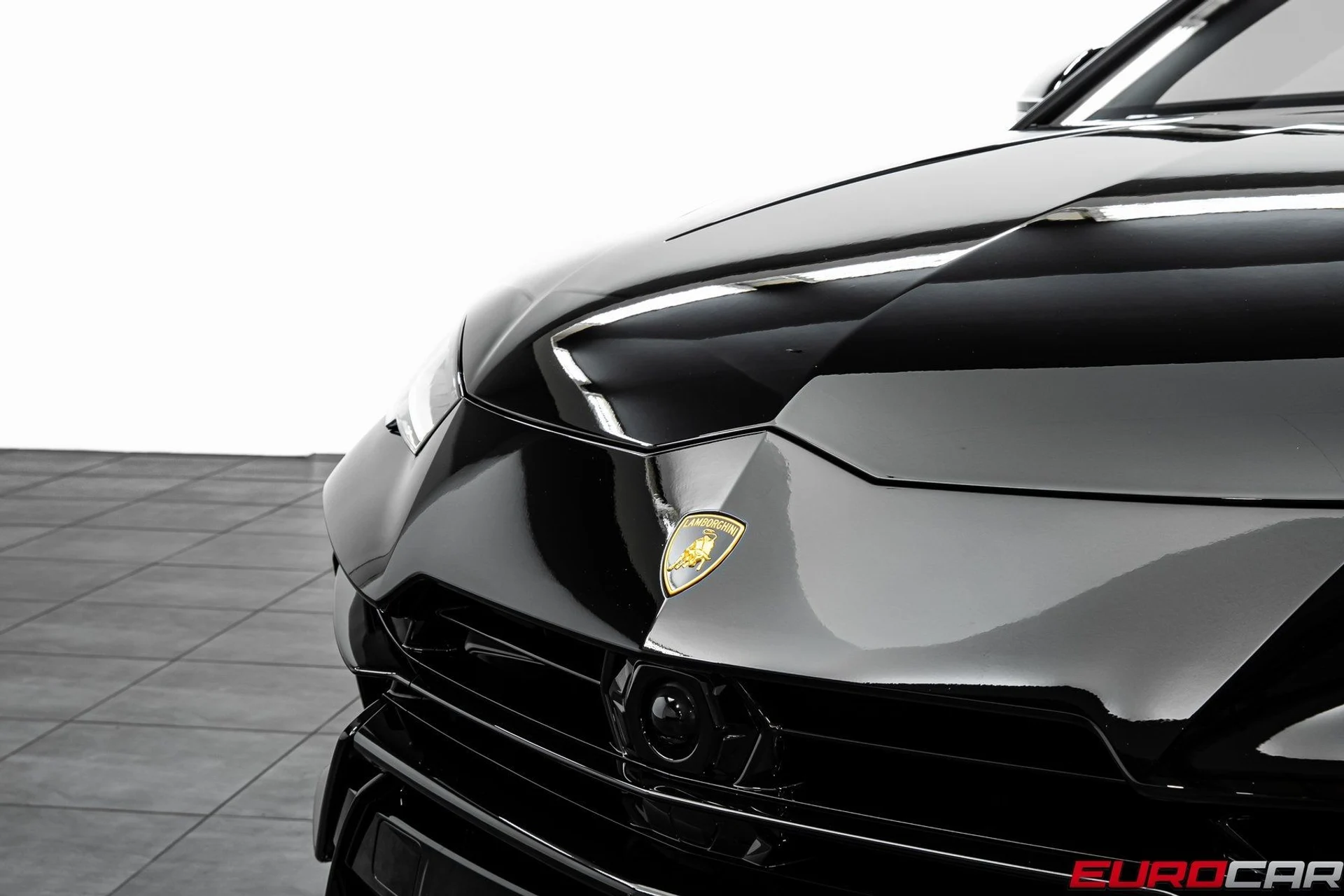 mph008_3952368631_image_9_7fc6318835