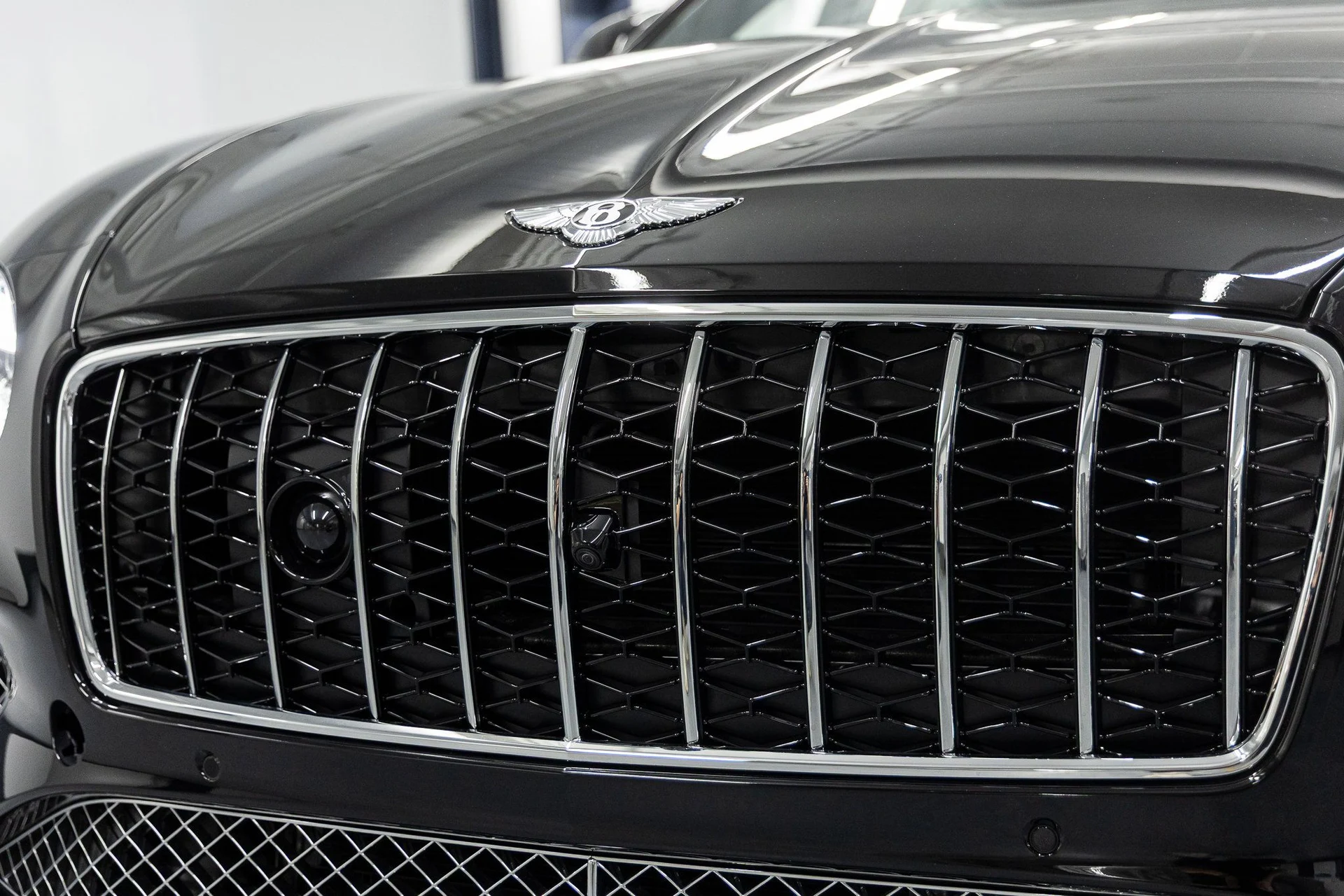 mph008_395715028_7b9a1dbf1481d8841258d829632455b3x_9efd0b599a