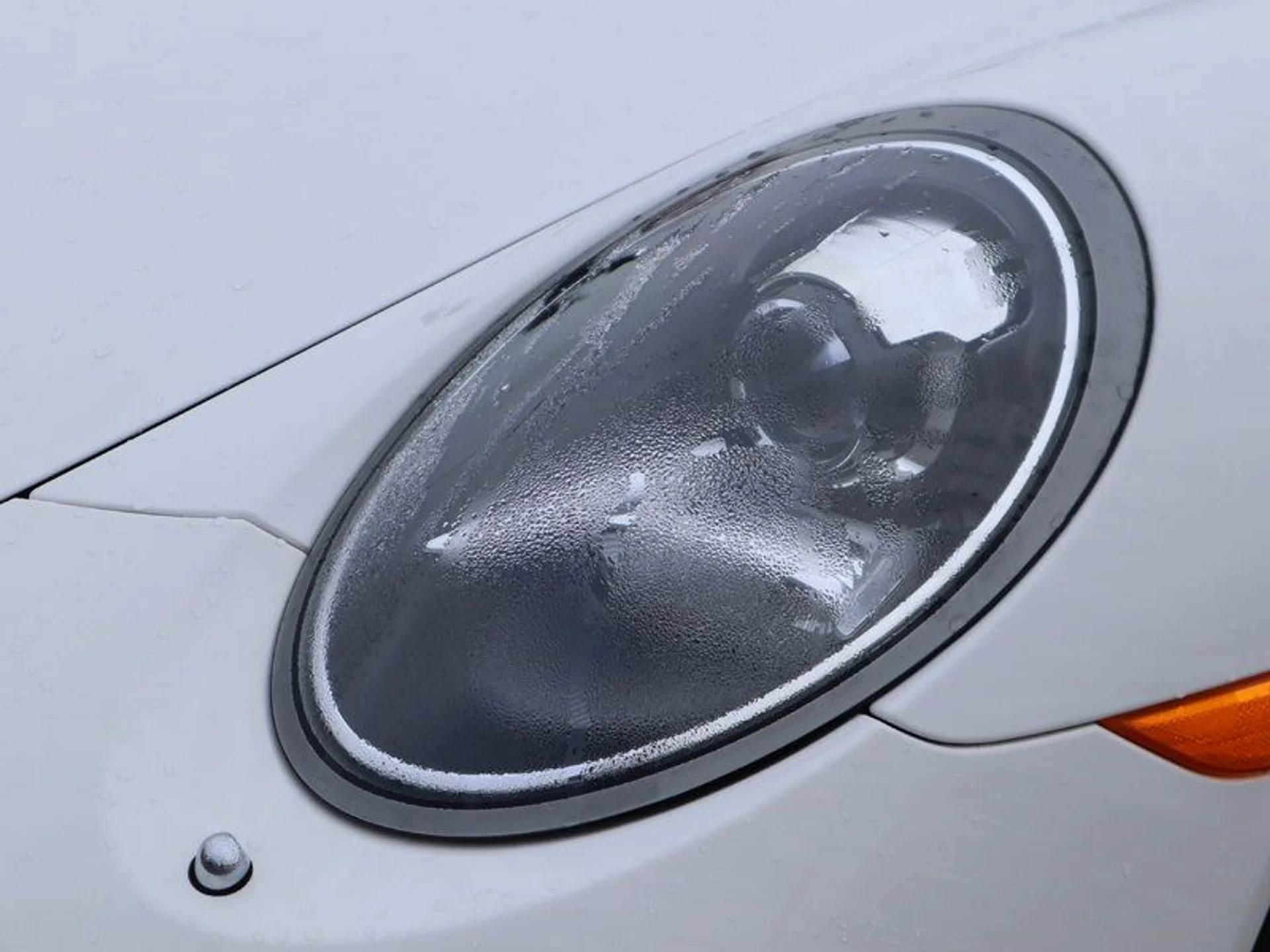 mph008_398206669_37300667_08252_95923fb266c08a779455e1dc3b689503_6d9e9d00c6