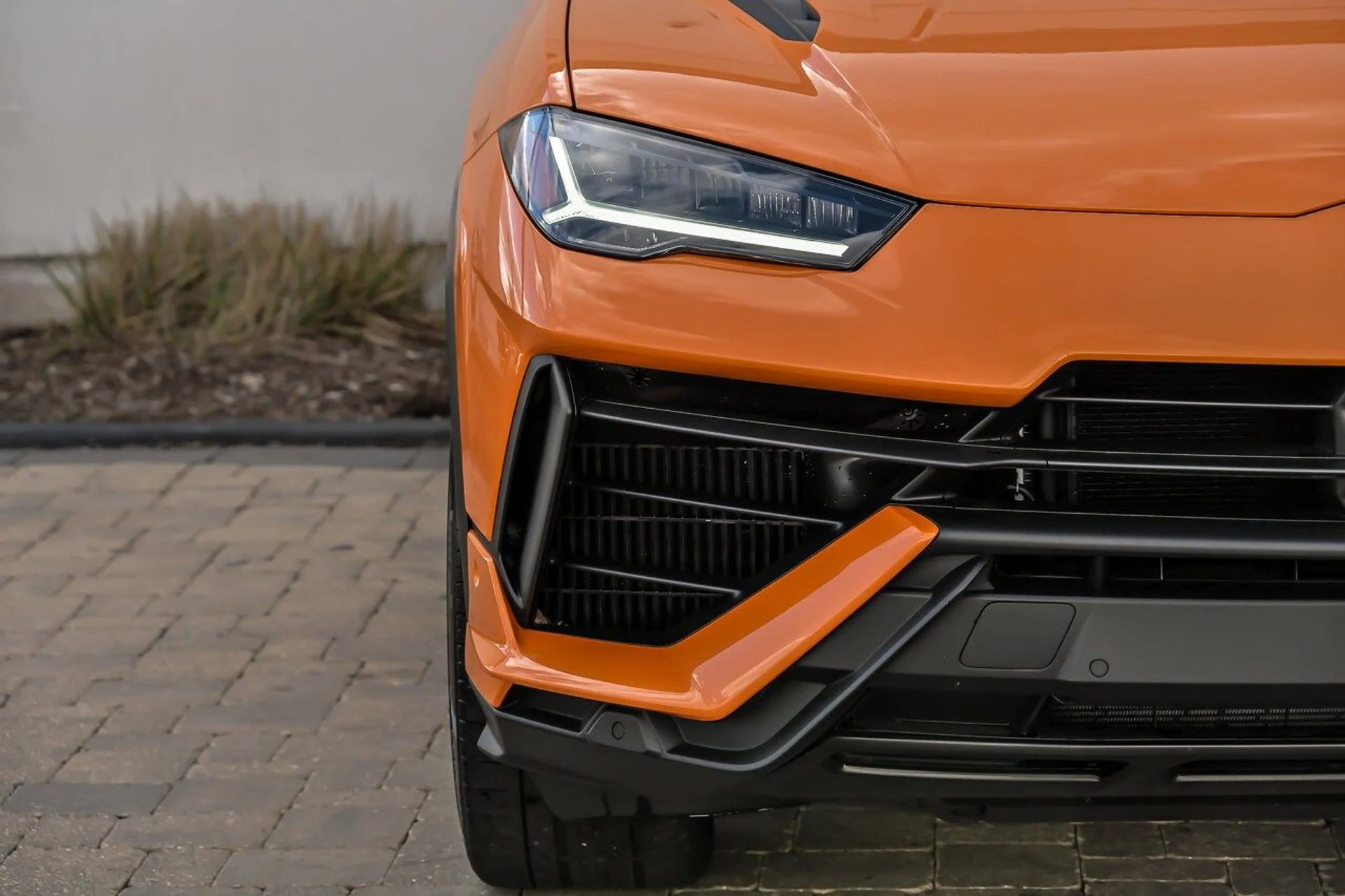 mph008_3982107482_f37016e83c4c8e58441179552ce7771bx_b057614131