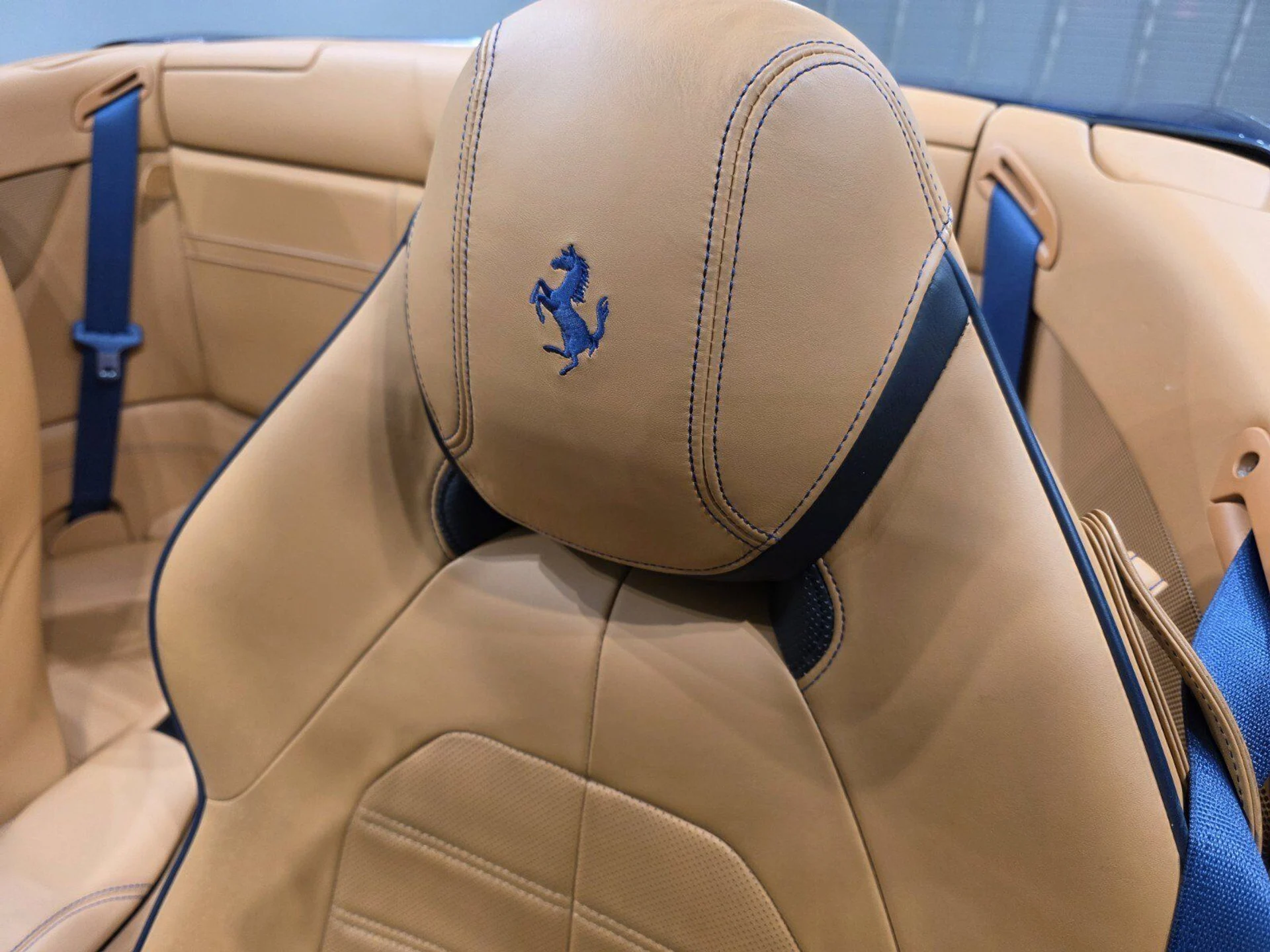 mph008_3983477281_12f4c6a455cc3e7a396be97a95368397_5816d5d96f