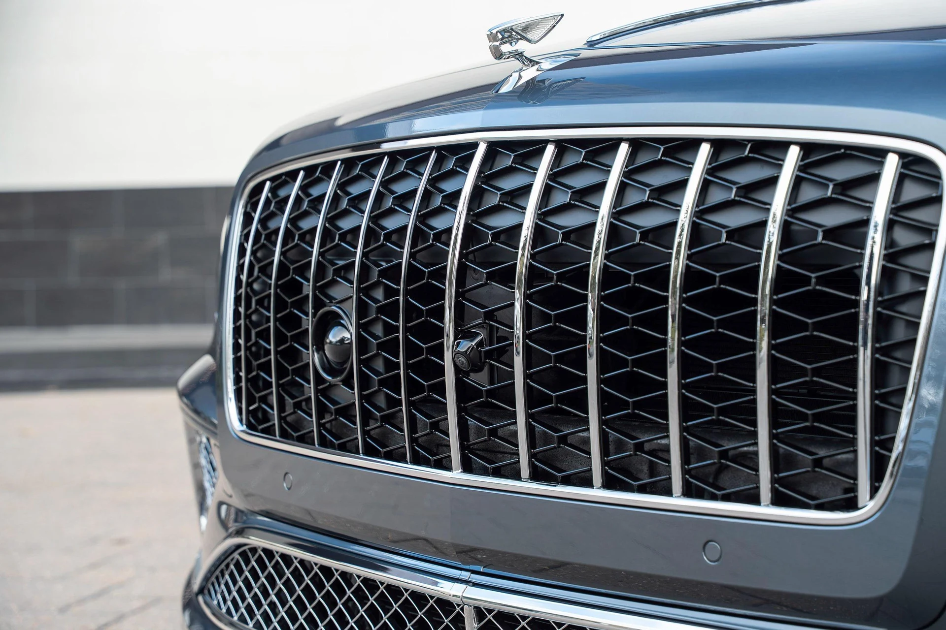 mph008_4006554982_477619931_6954c0344e73cd9f103f504a_ce2b47fb88