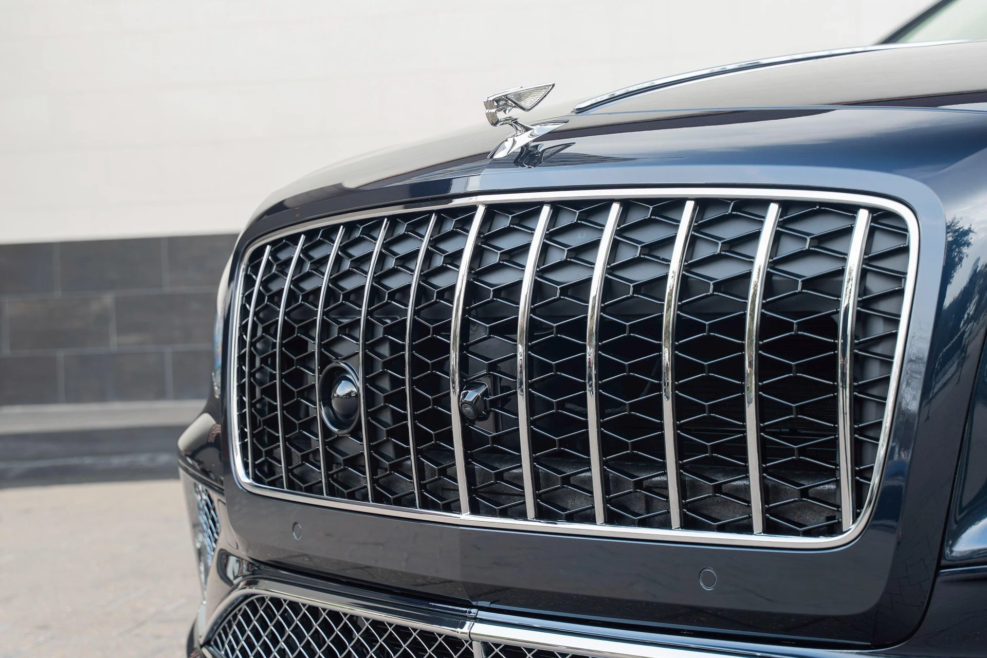 mph008_411399220_477619930_695e146e511ab76ffaffbc4b_1015f074bb