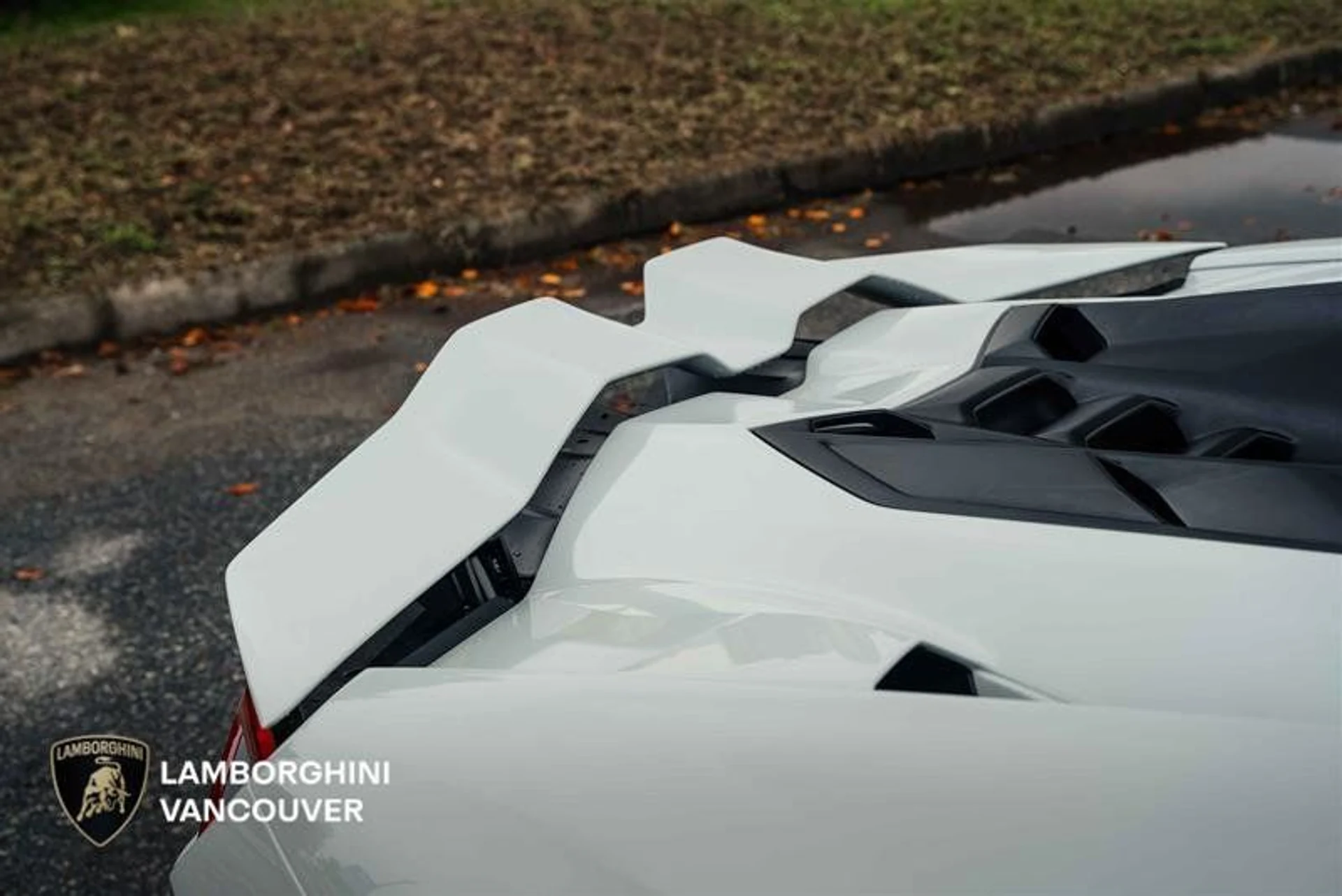 mph008_4118305001_37687978_00990_qz2juudl_ea557f6af0