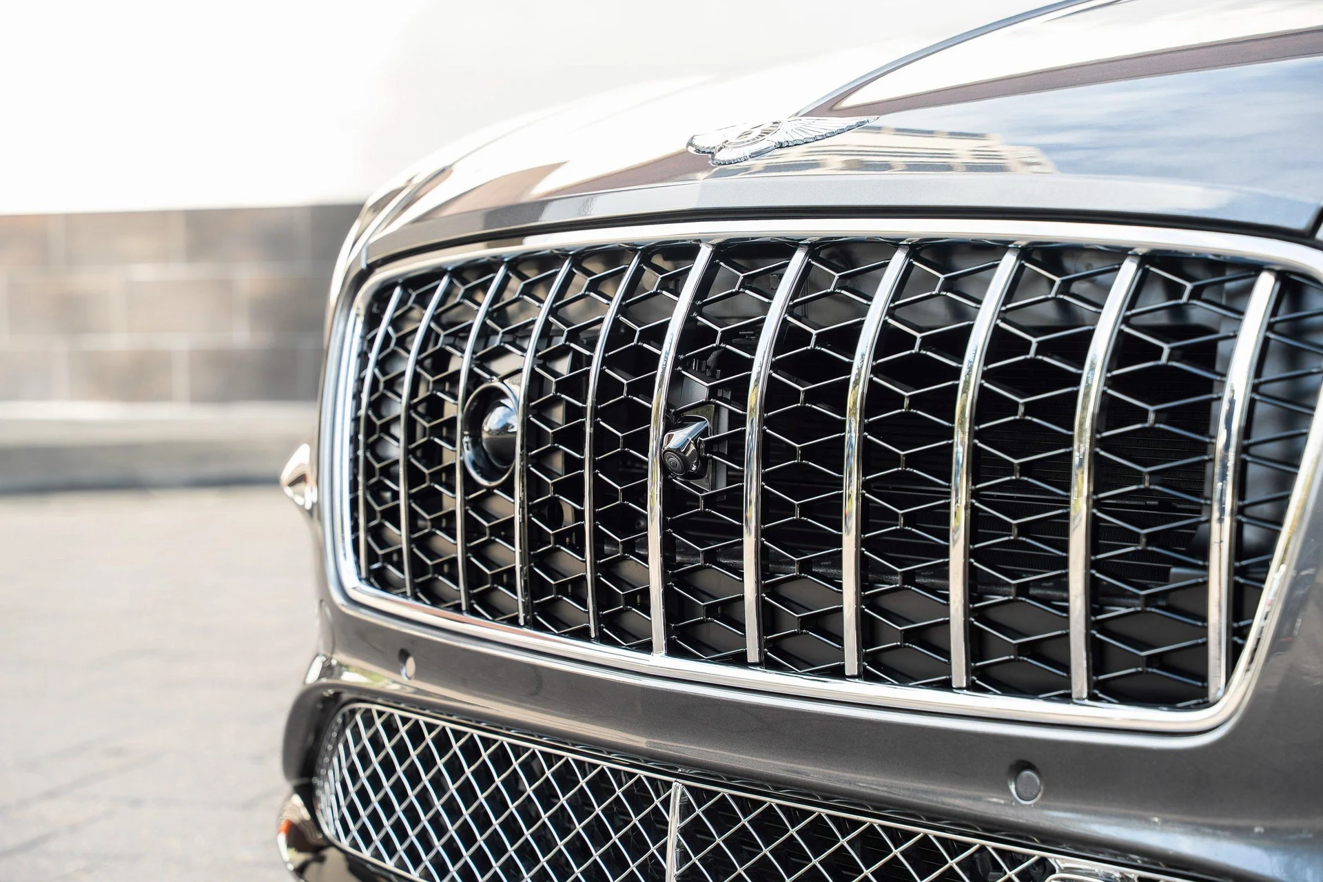 mph008_4145574148_470961999_692009b2af5727c8024d81f6_b2496faff8