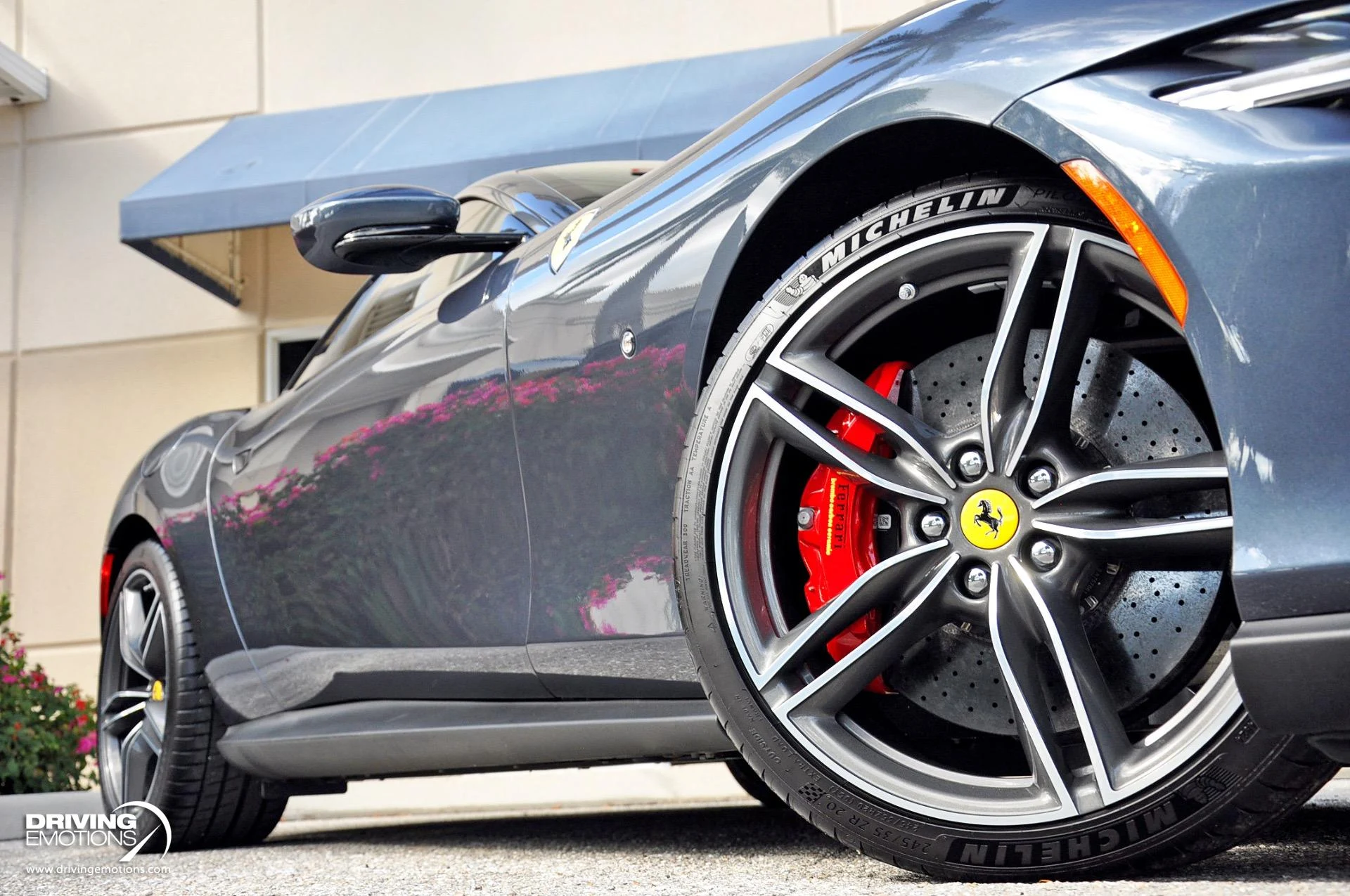 mph008_4206153697_882_p9_l_ce30ede2e8