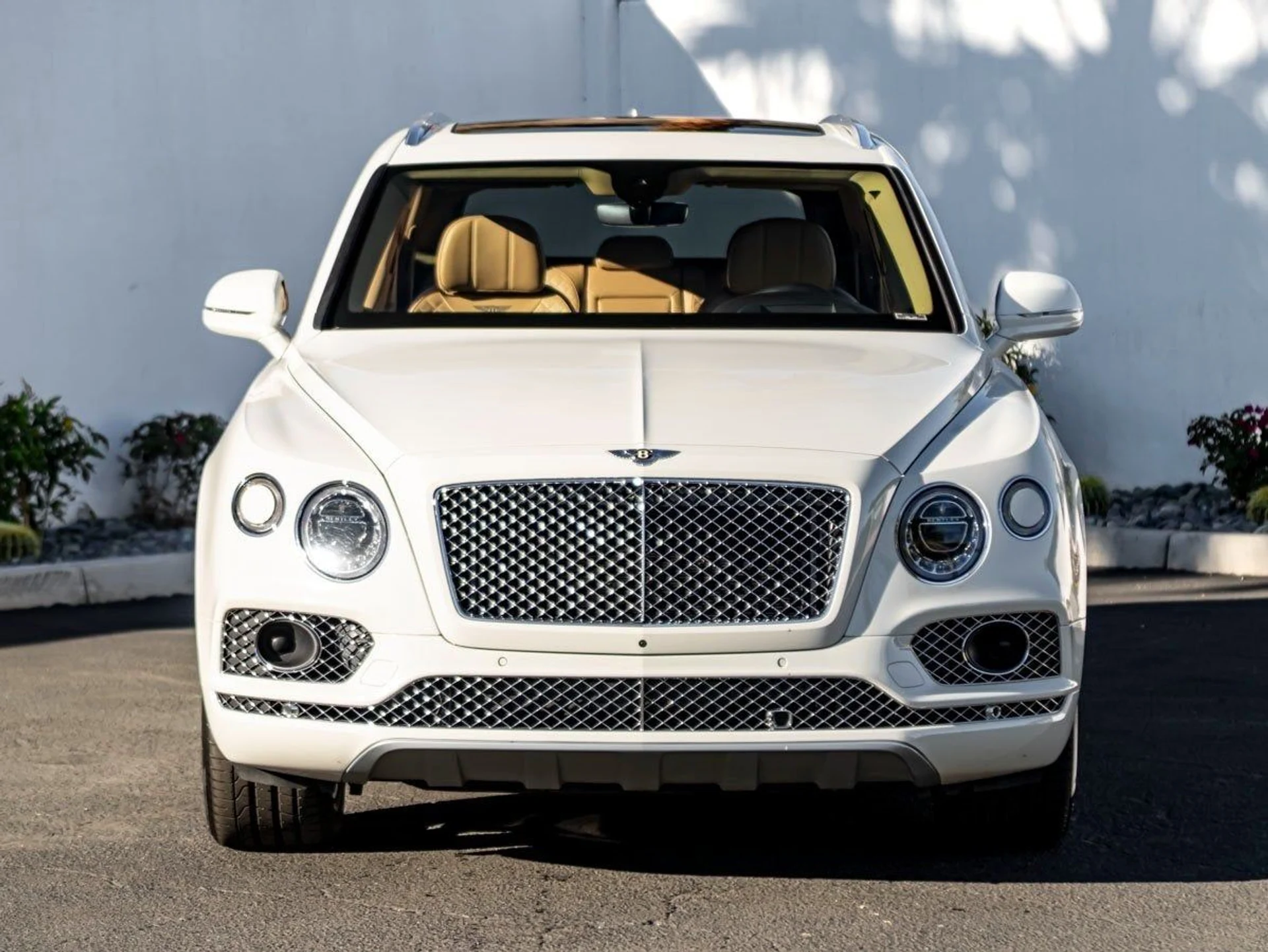 mph008_4213729612_9_9e8bfedbc4