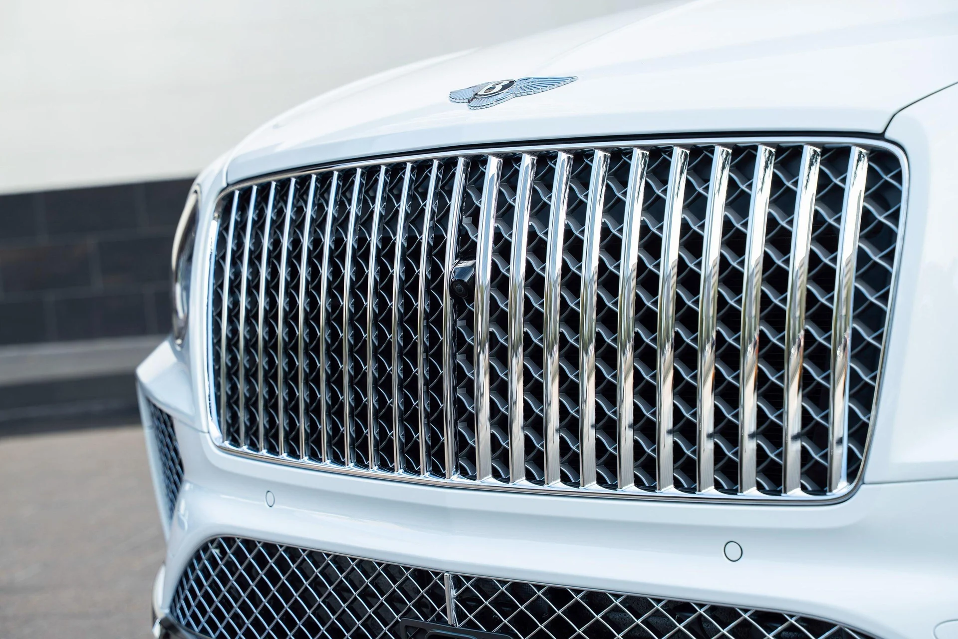 mph008_4228608220_462758411_6954bf784e73cd9f103f4ec8_c3d7e34bf9