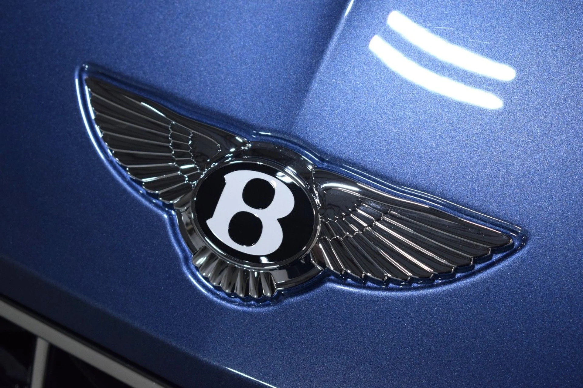 mph008_4248706986_0cd100e6c38d2fdf457e3b85efa29aedx_ac82c86c29