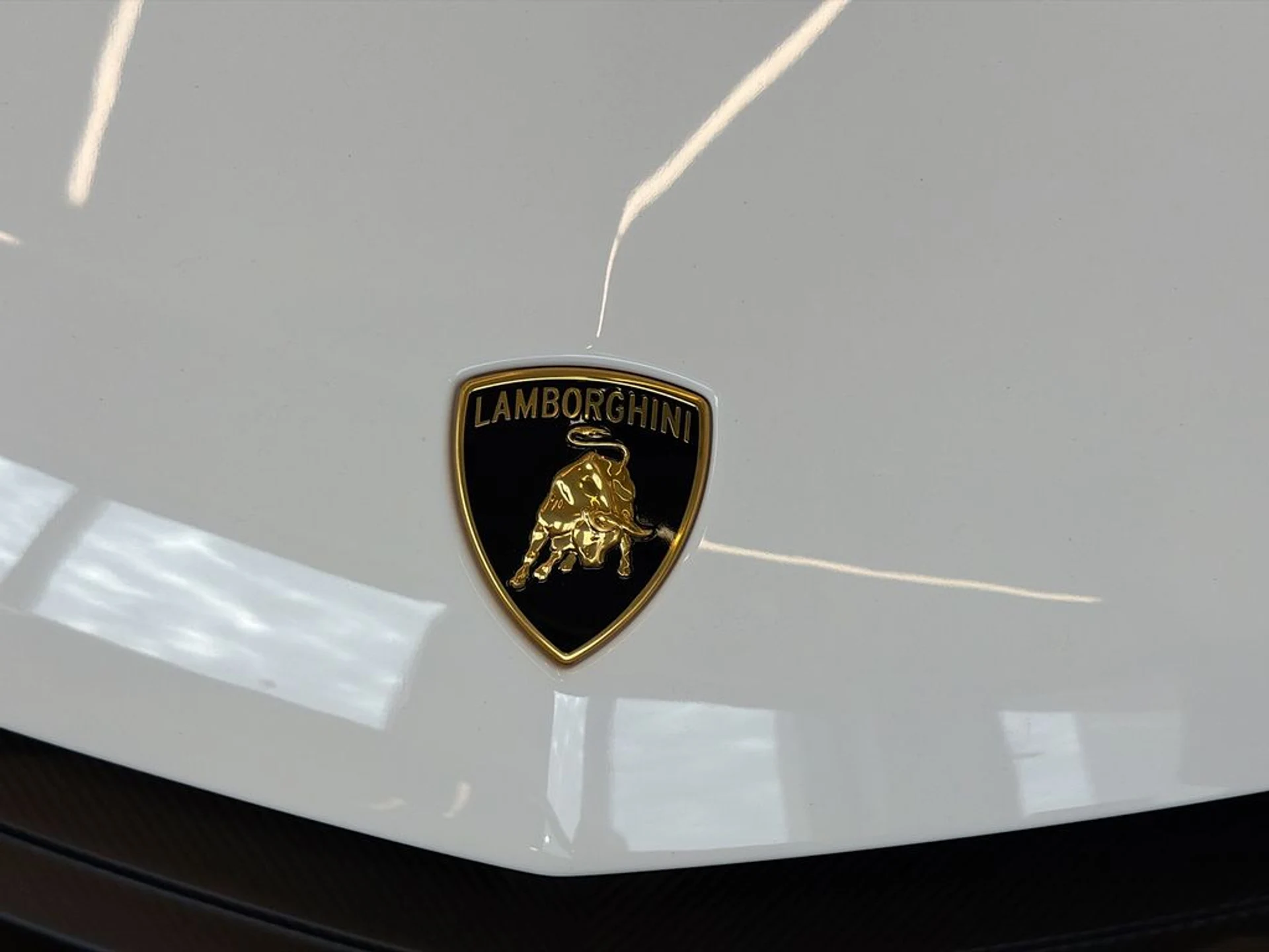 mph008_490994397_1d7f31f25e1b83460b1bca6dd025da0dx_851c98b689