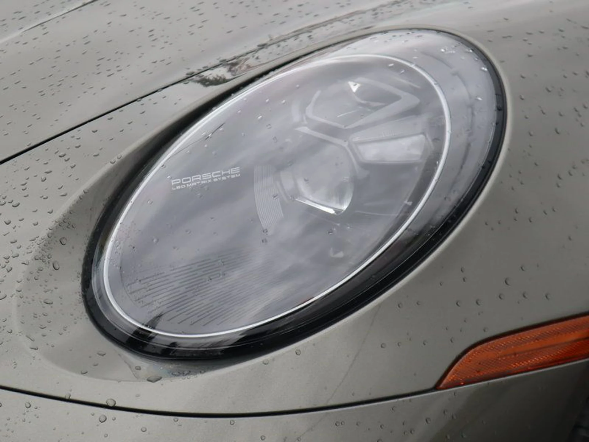 mph008_492078608_37381109_09507_76d09421b43819d58604aec001cb6347_cb21bd8e69