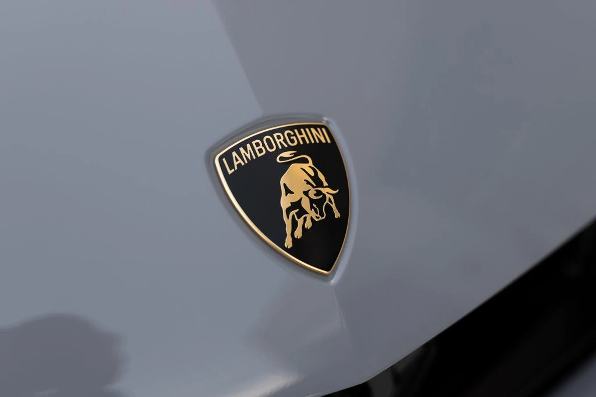 mph008_494135138_8543565207c5160288b8be9051062410x_070a4b8e83