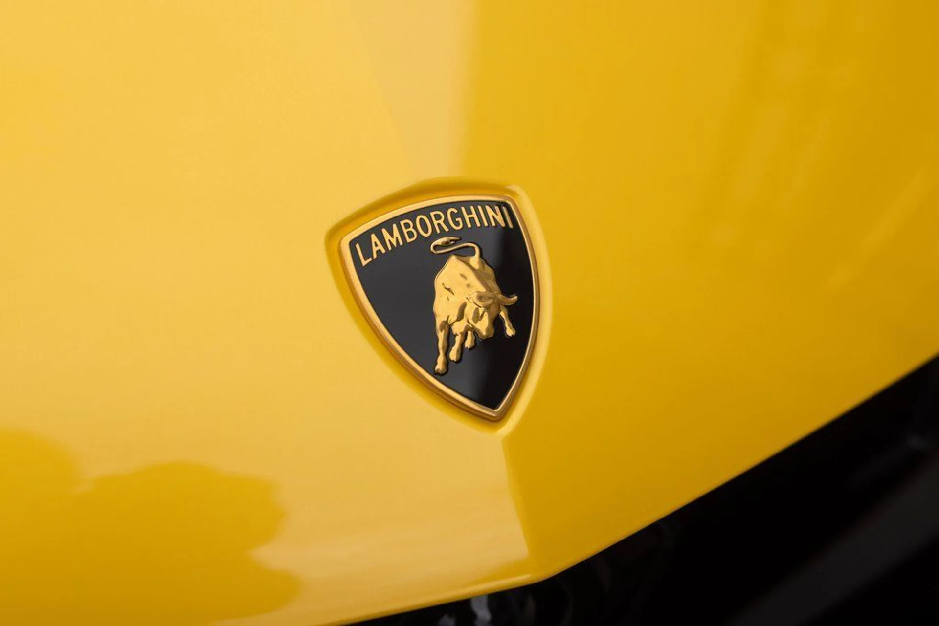 mph008_51650343_f6b668ac38e811eb7c36abf75c600a77x_a9ed2406d9